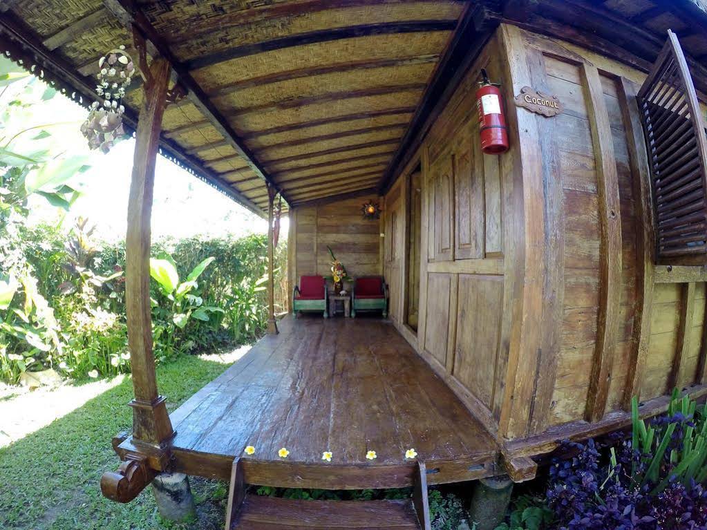 Dragonfly Village
