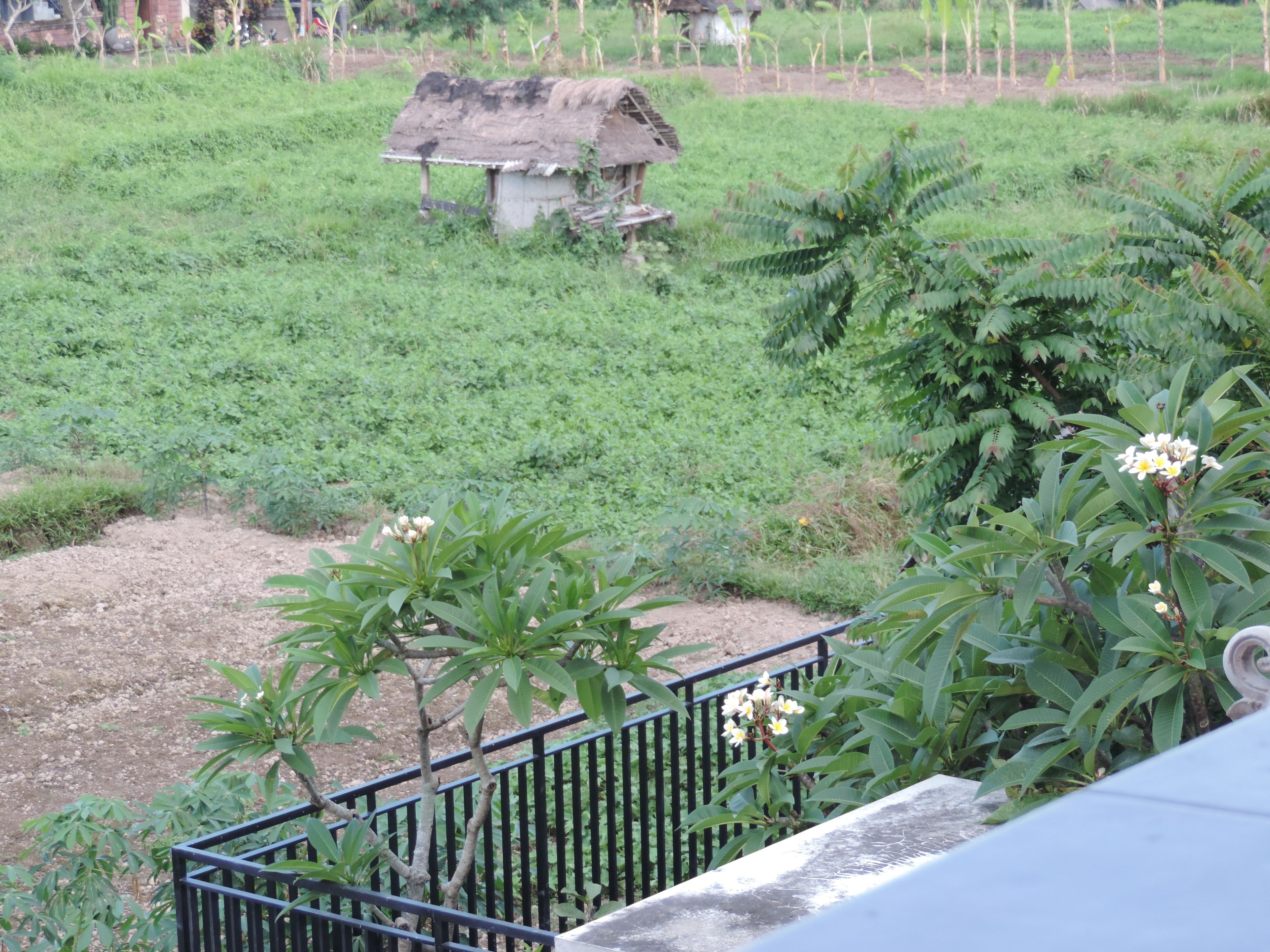 Duana Homestay