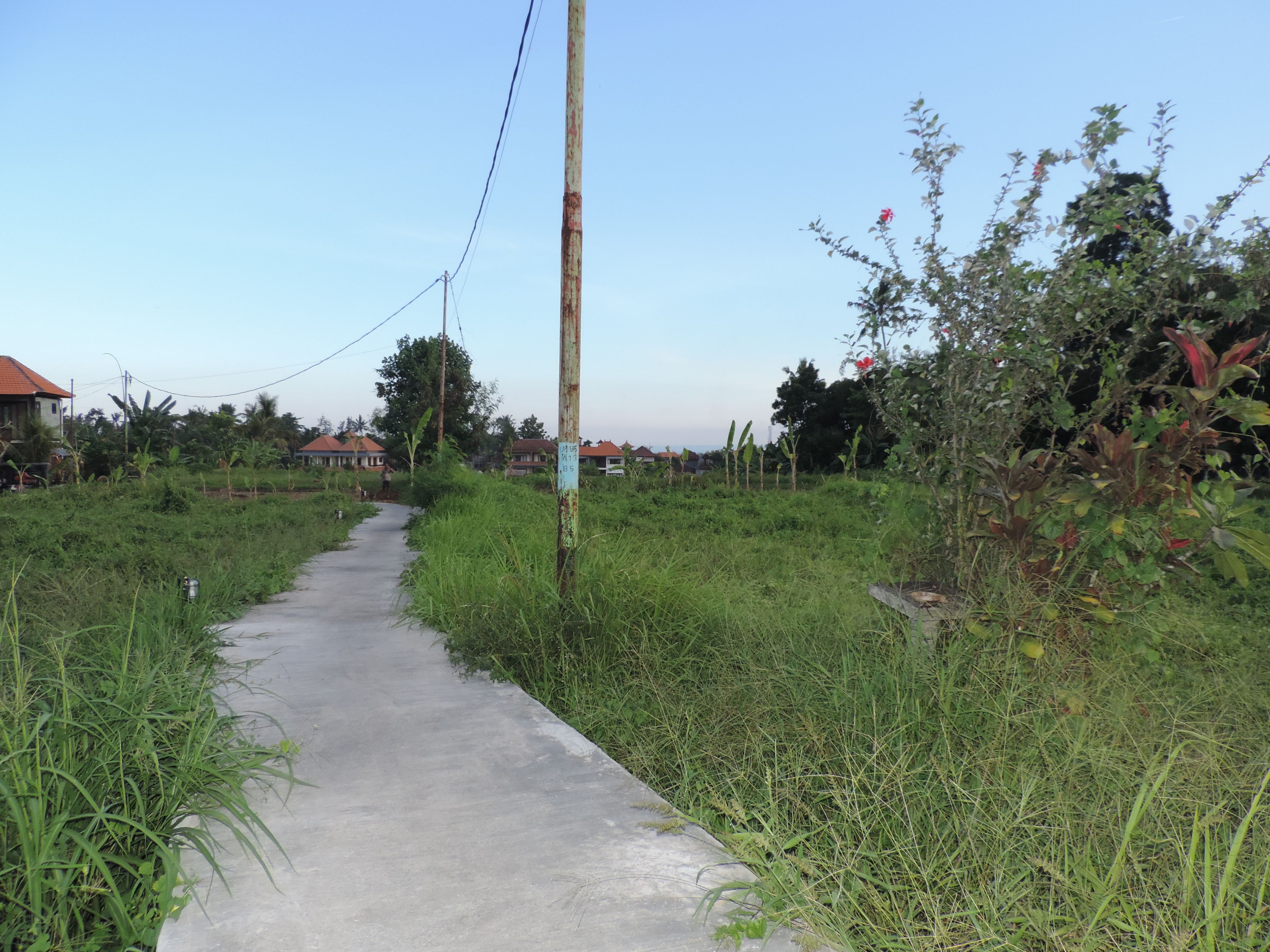 Duana Homestay