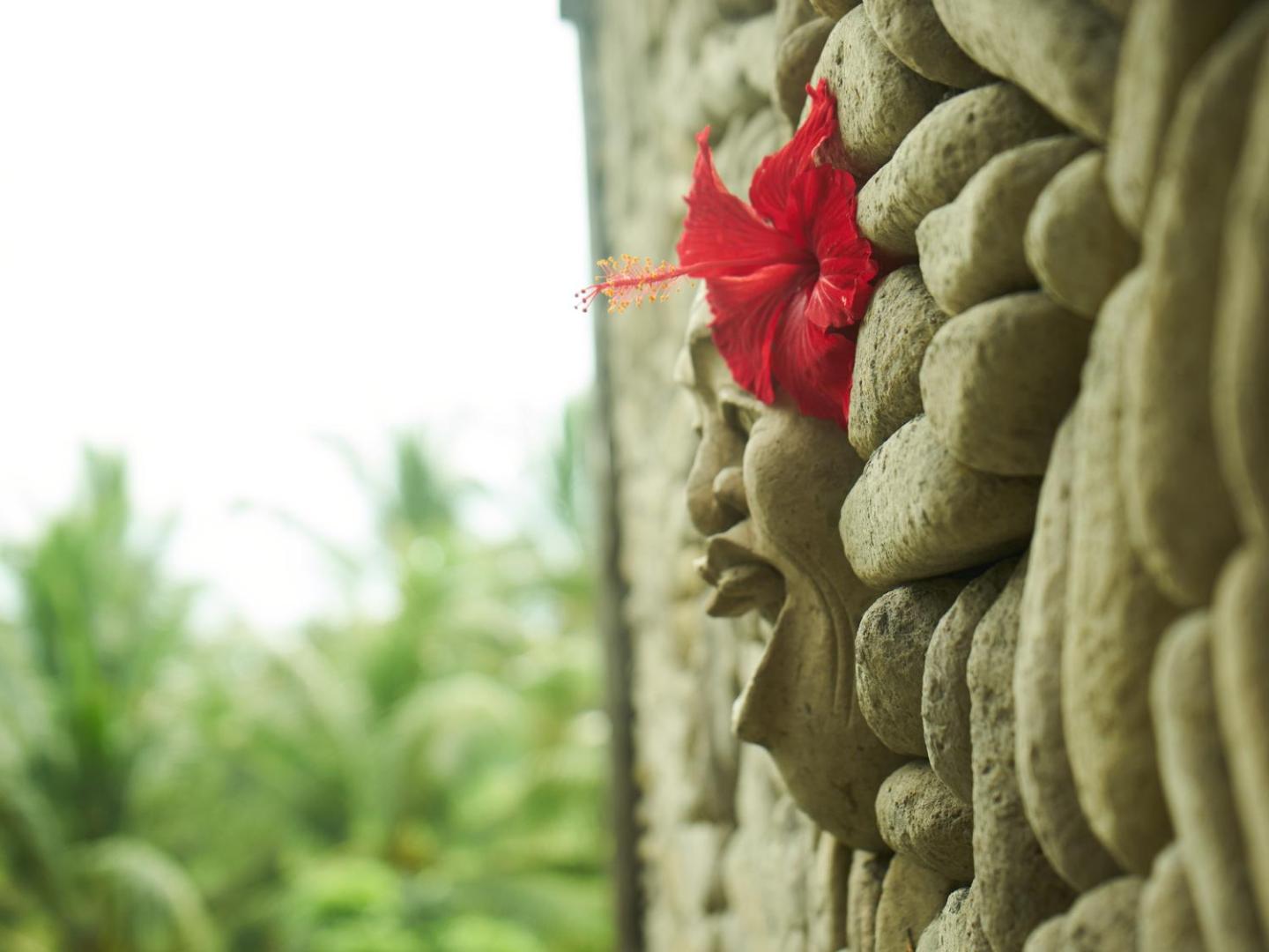 Eden House Ubud