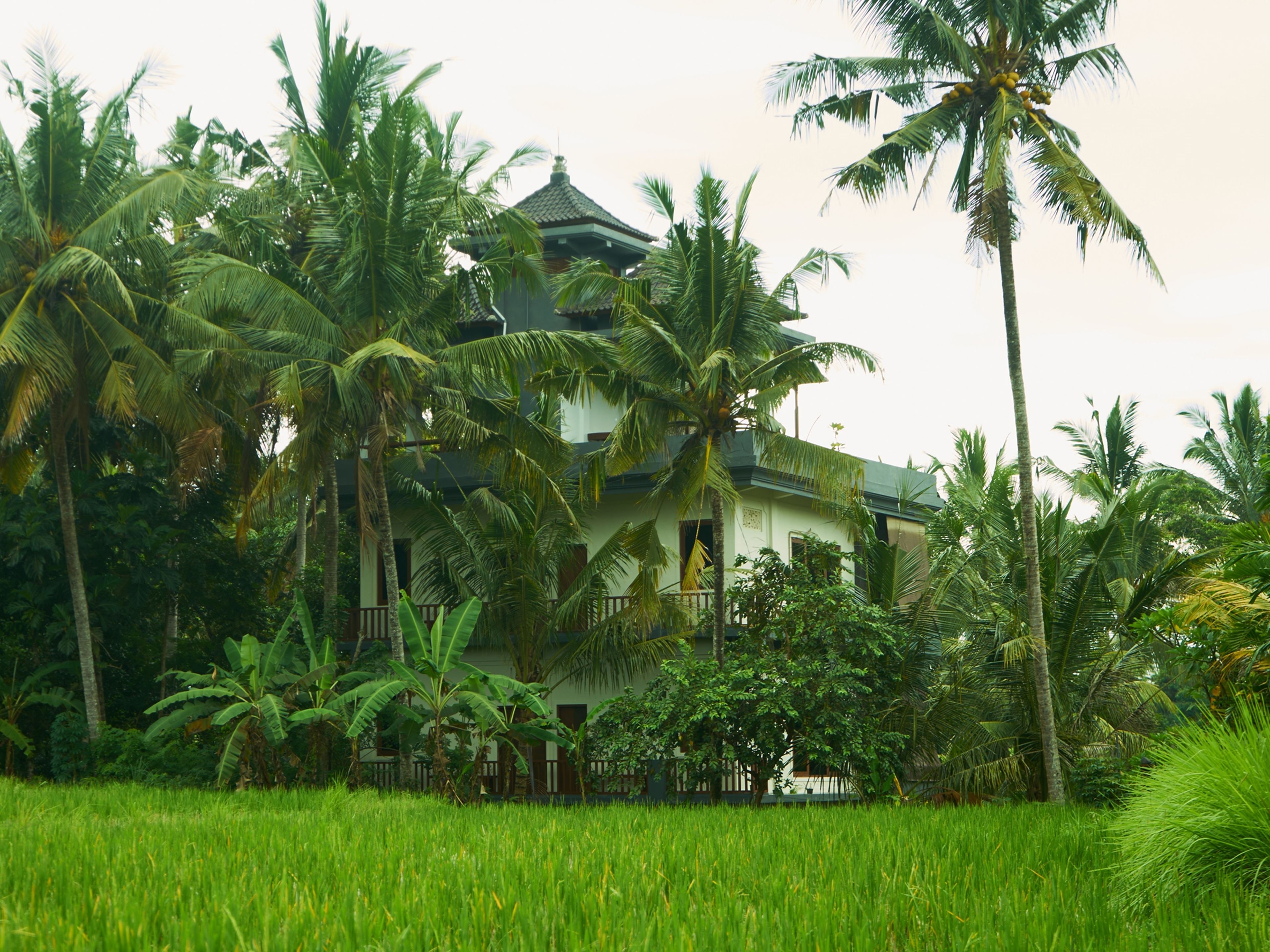 Eden House Ubud