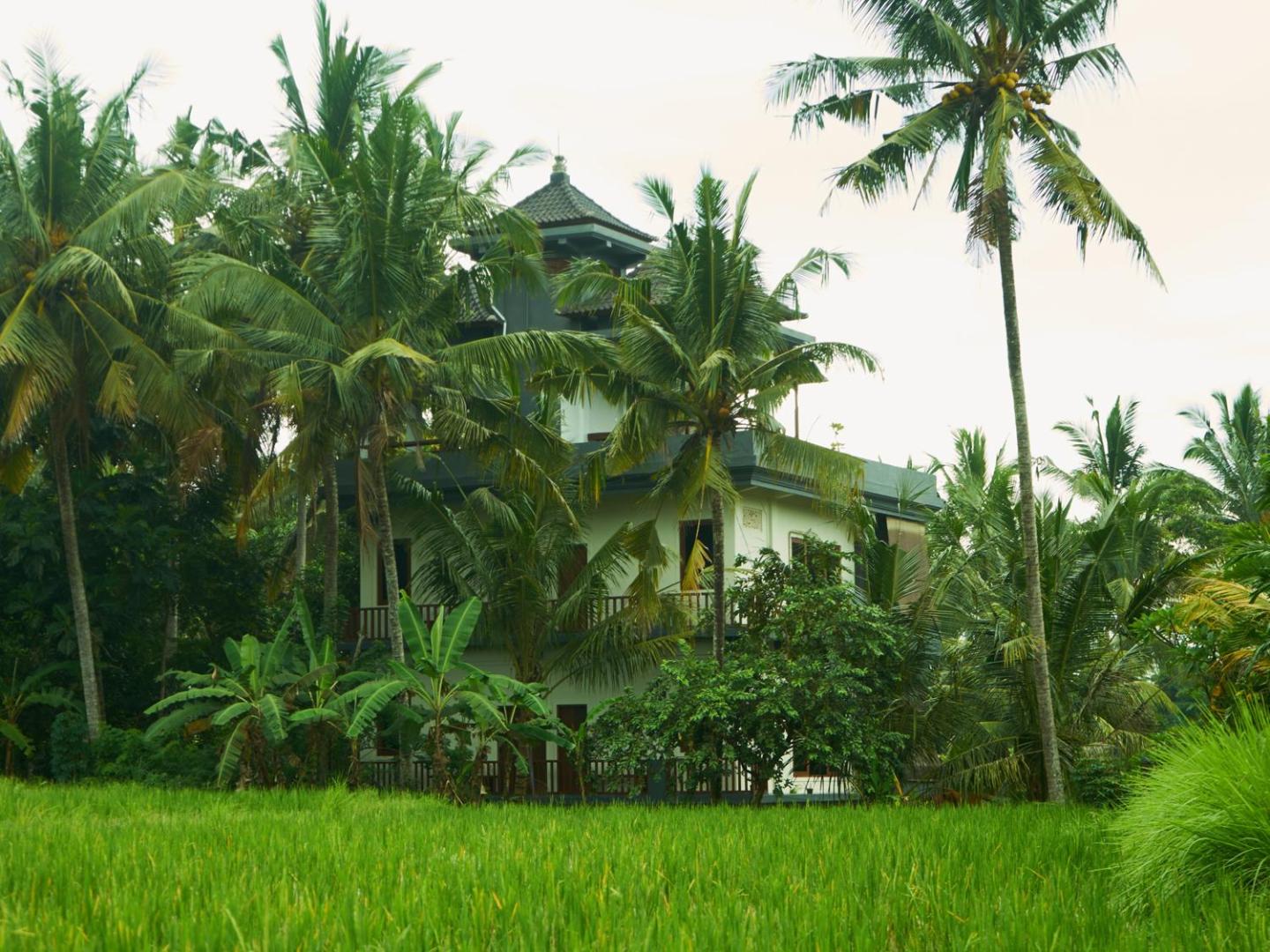 Eden House Ubud