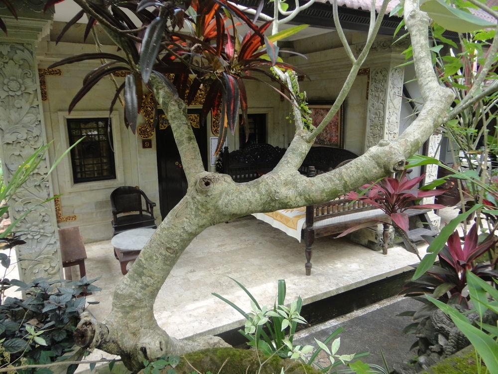 Fibra Inn Bungalow