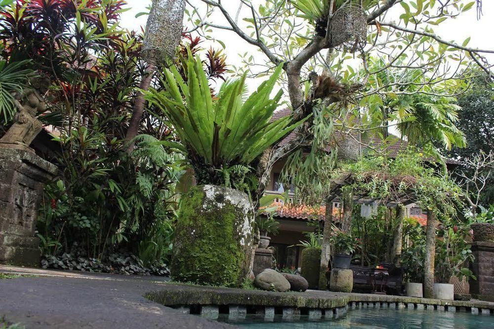 Fibra Inn Bungalow