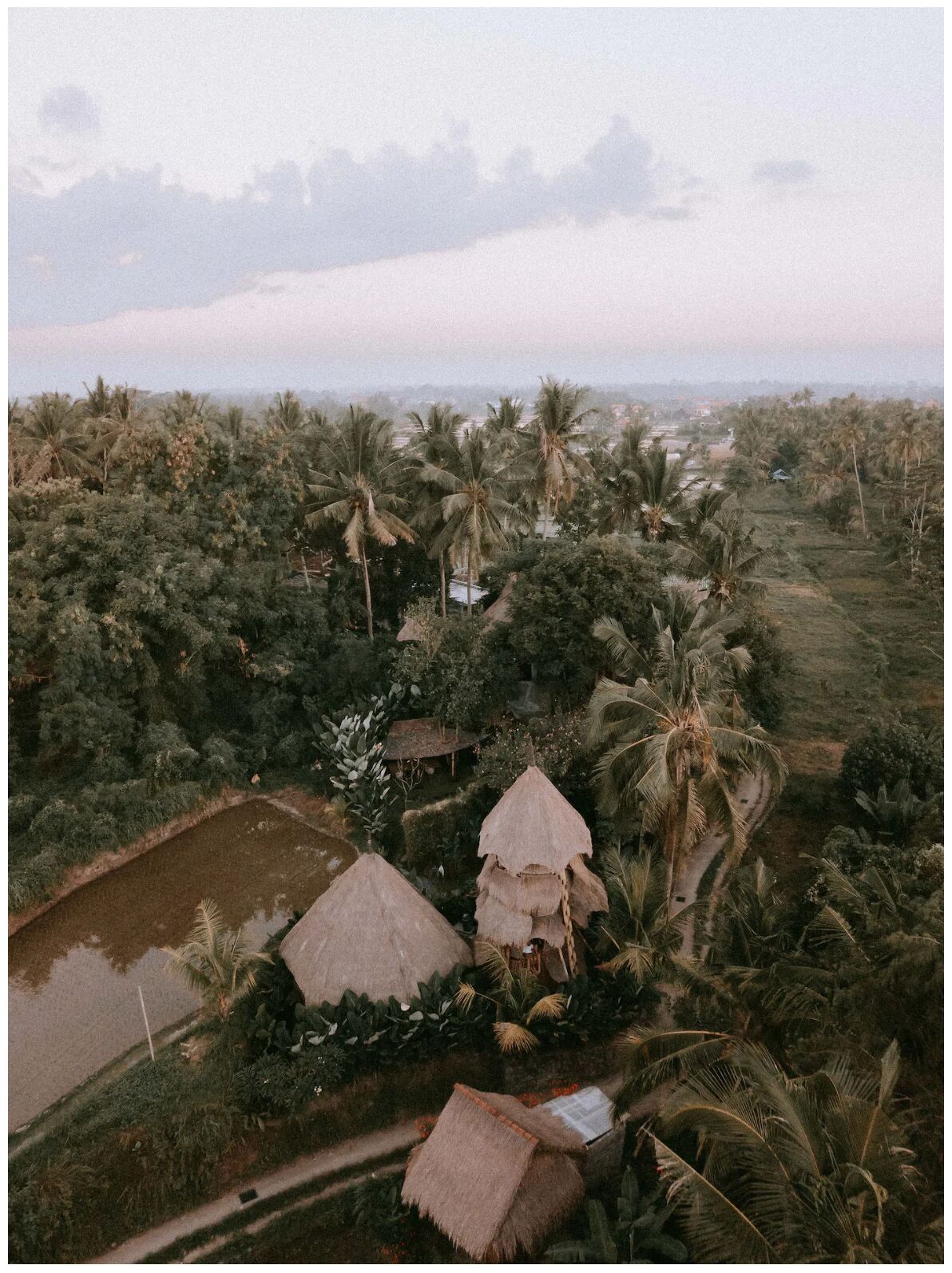 Firefly Eco Lodge
