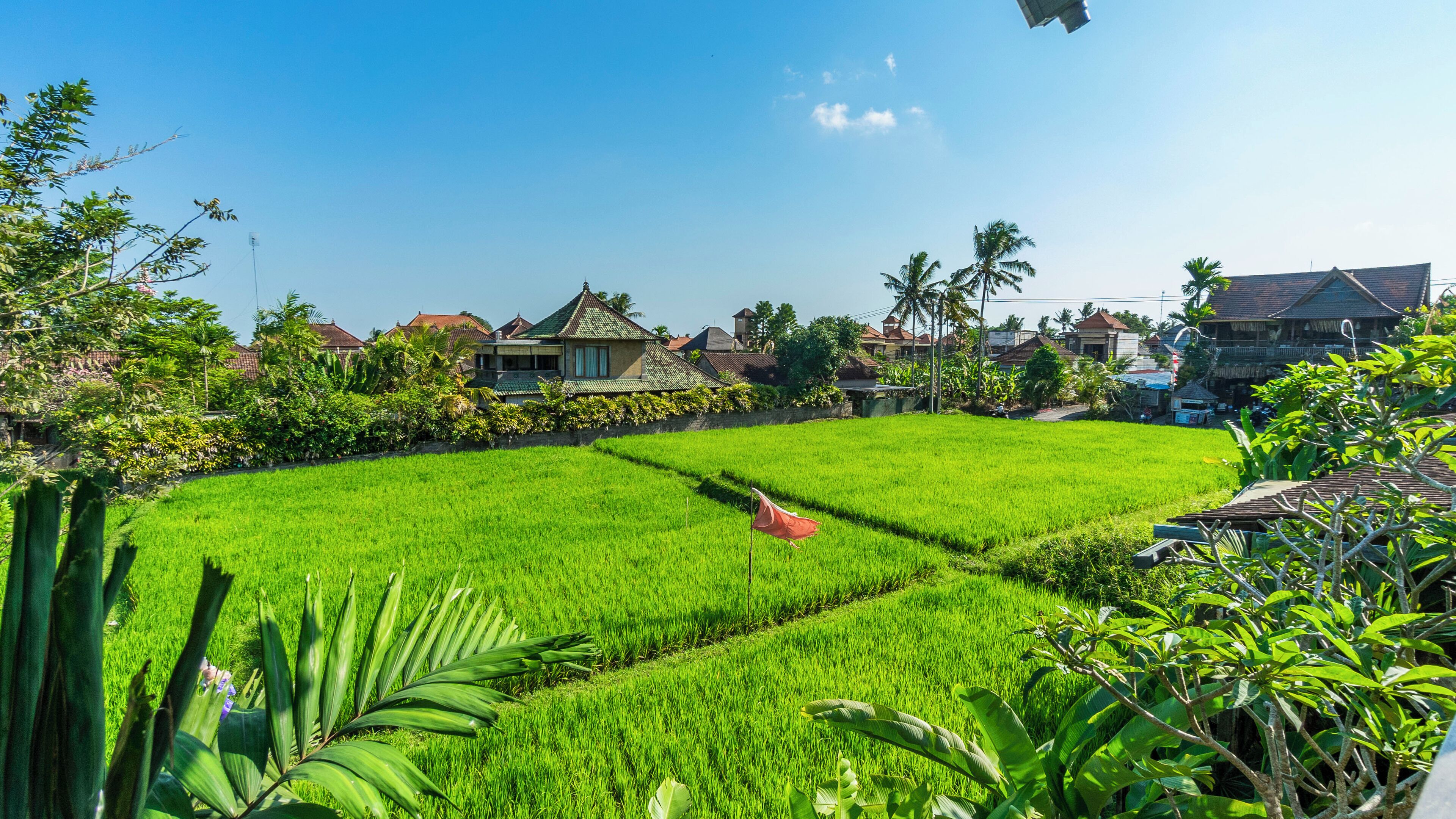Gayatri Retreat Ubud