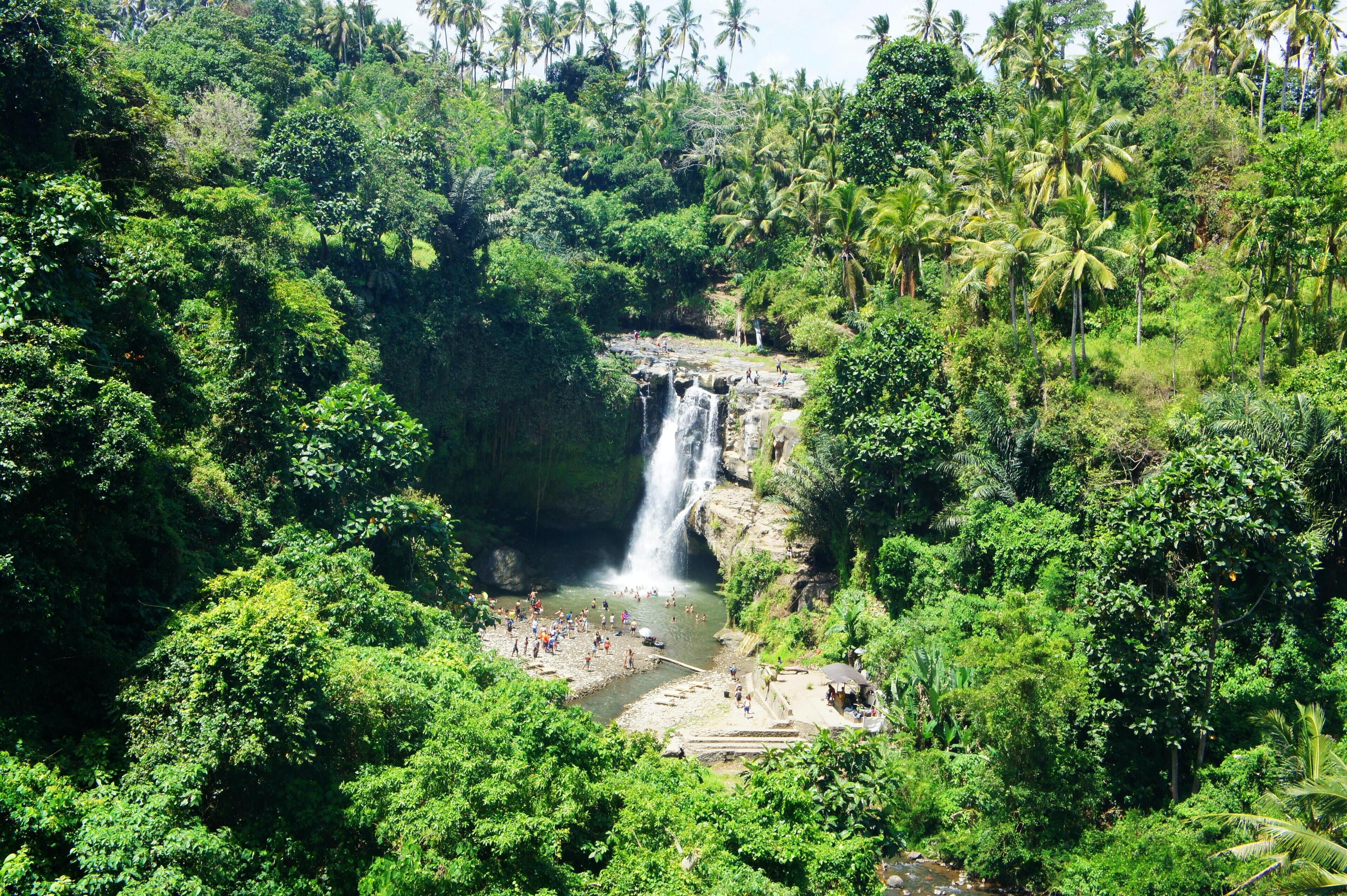 Gdas Bali Health And Wellness Resort