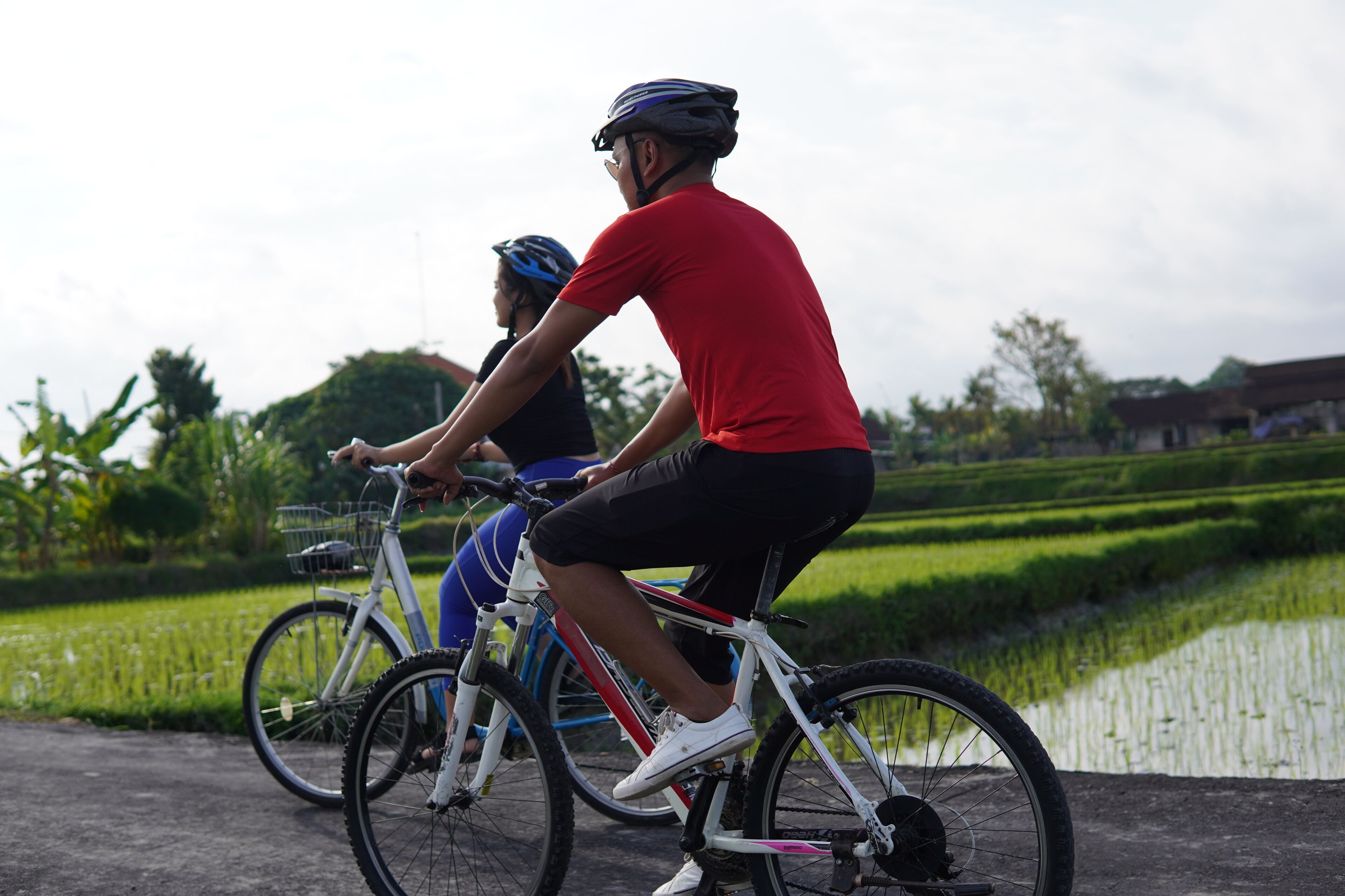 Gdas Bali Health And Wellness Resort