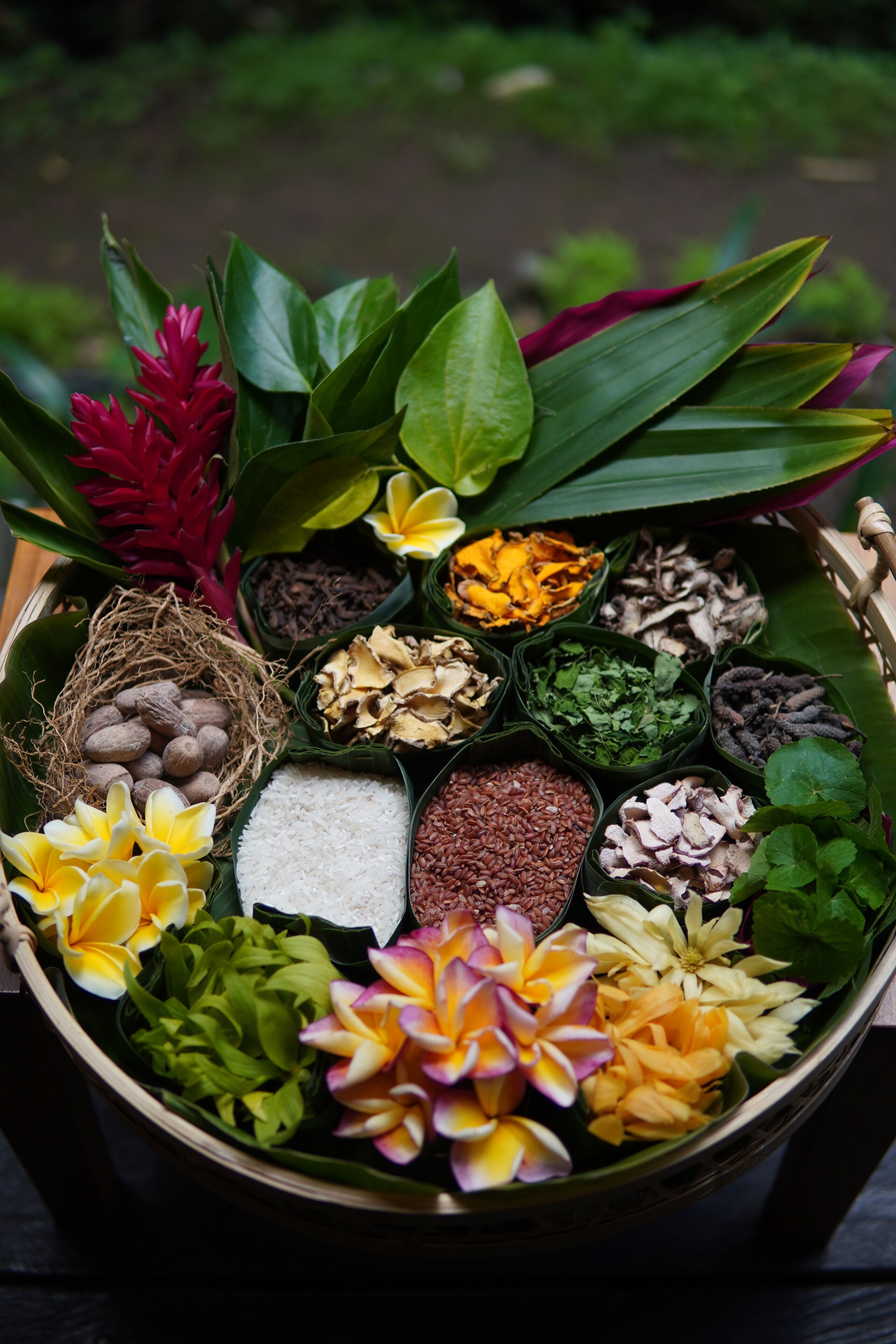 Gdas Bali Health And Wellness Resort