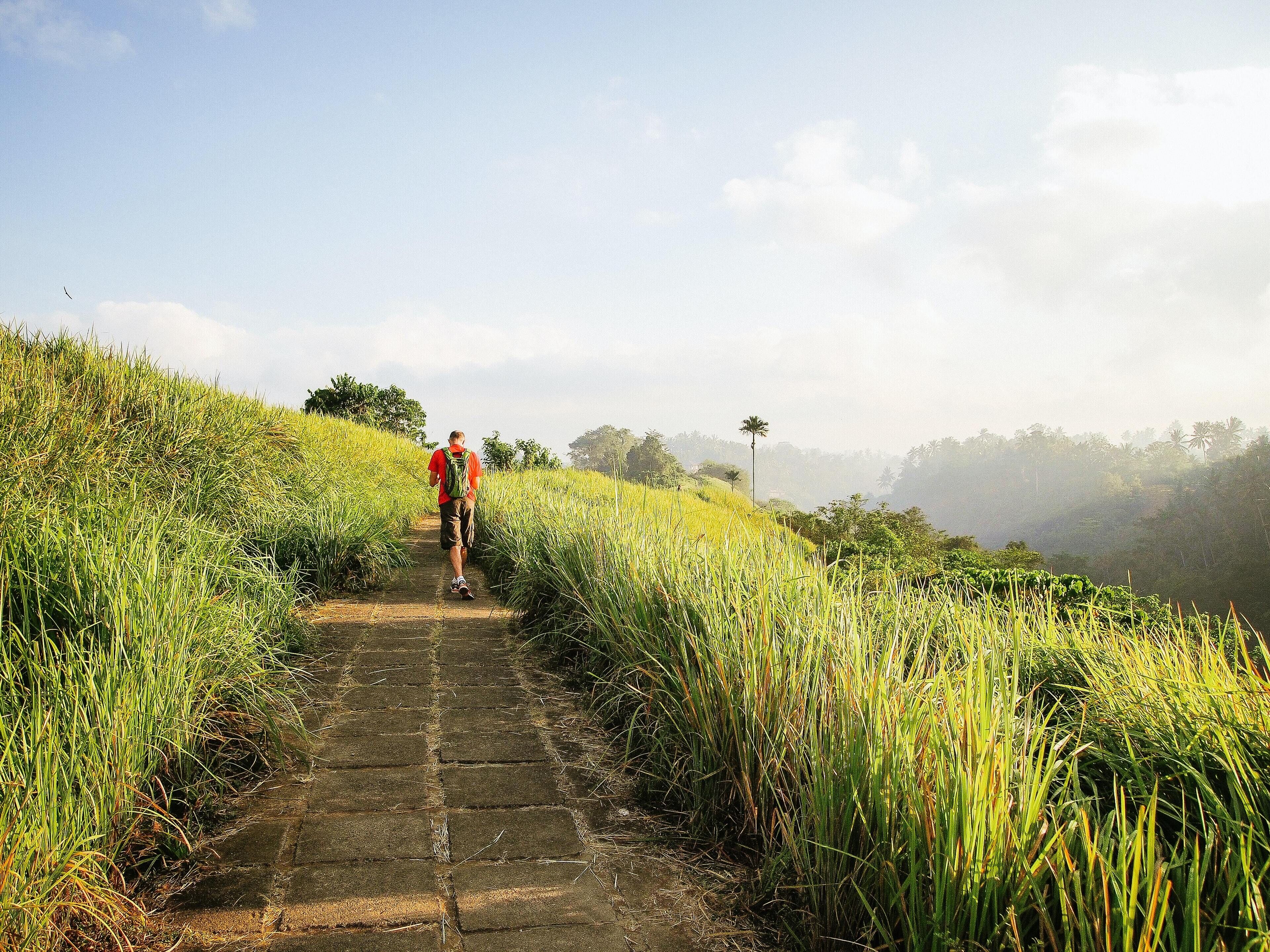 Gdas Bali Health And Wellness Resort
