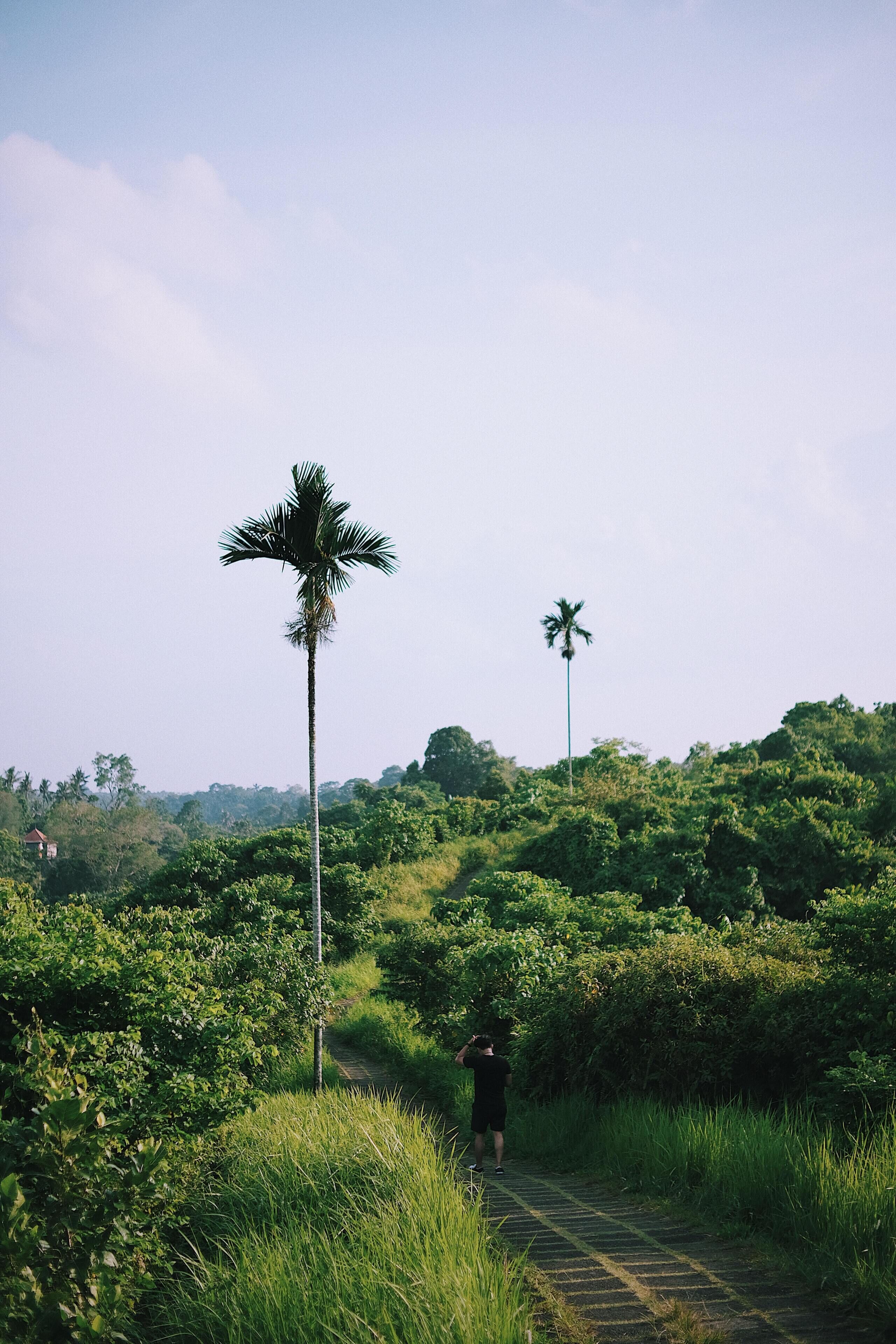 Gdas Bali Health And Wellness Resort