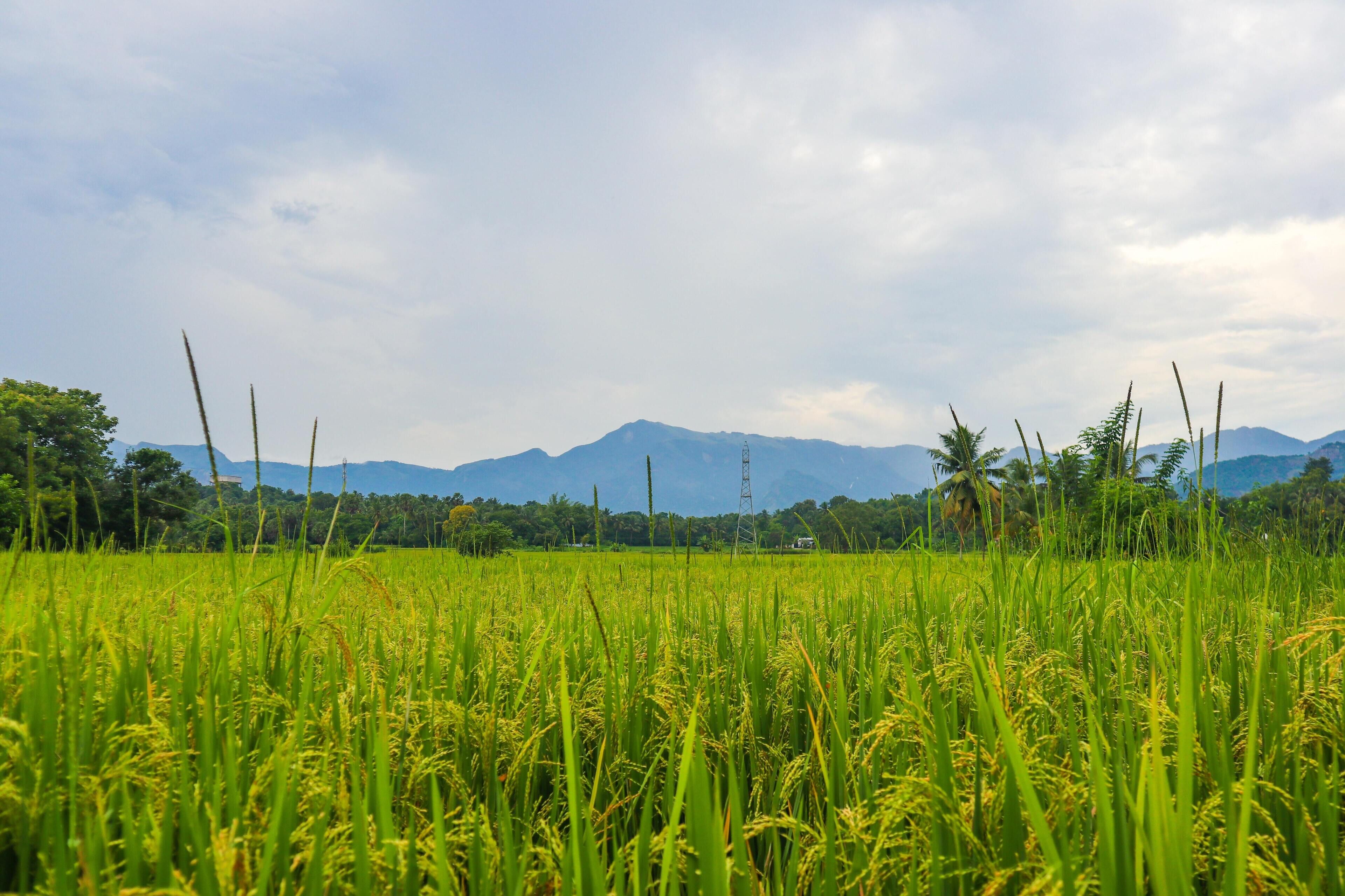 Gdas Bali Health And Wellness Resort