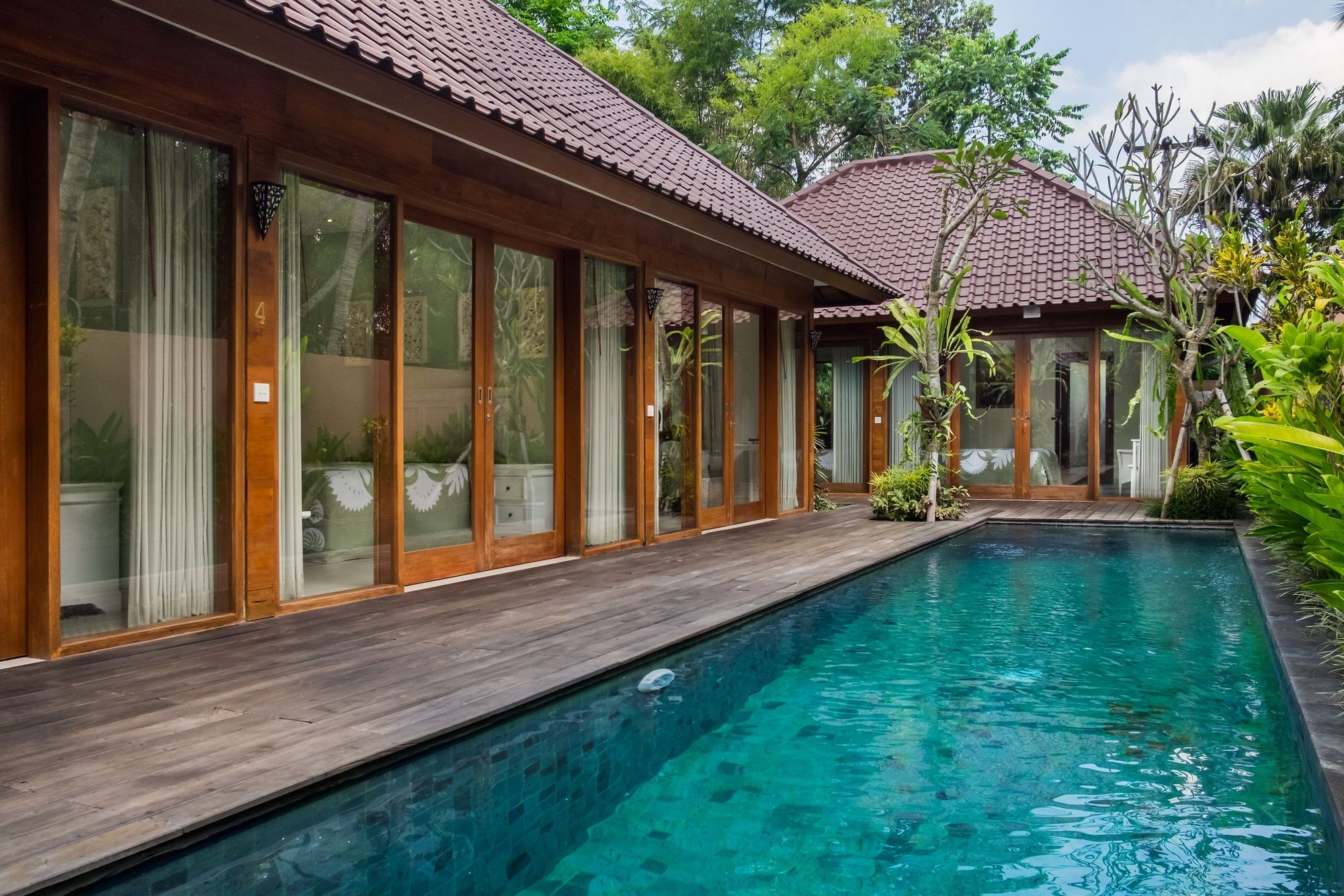 Gekkos Ubud