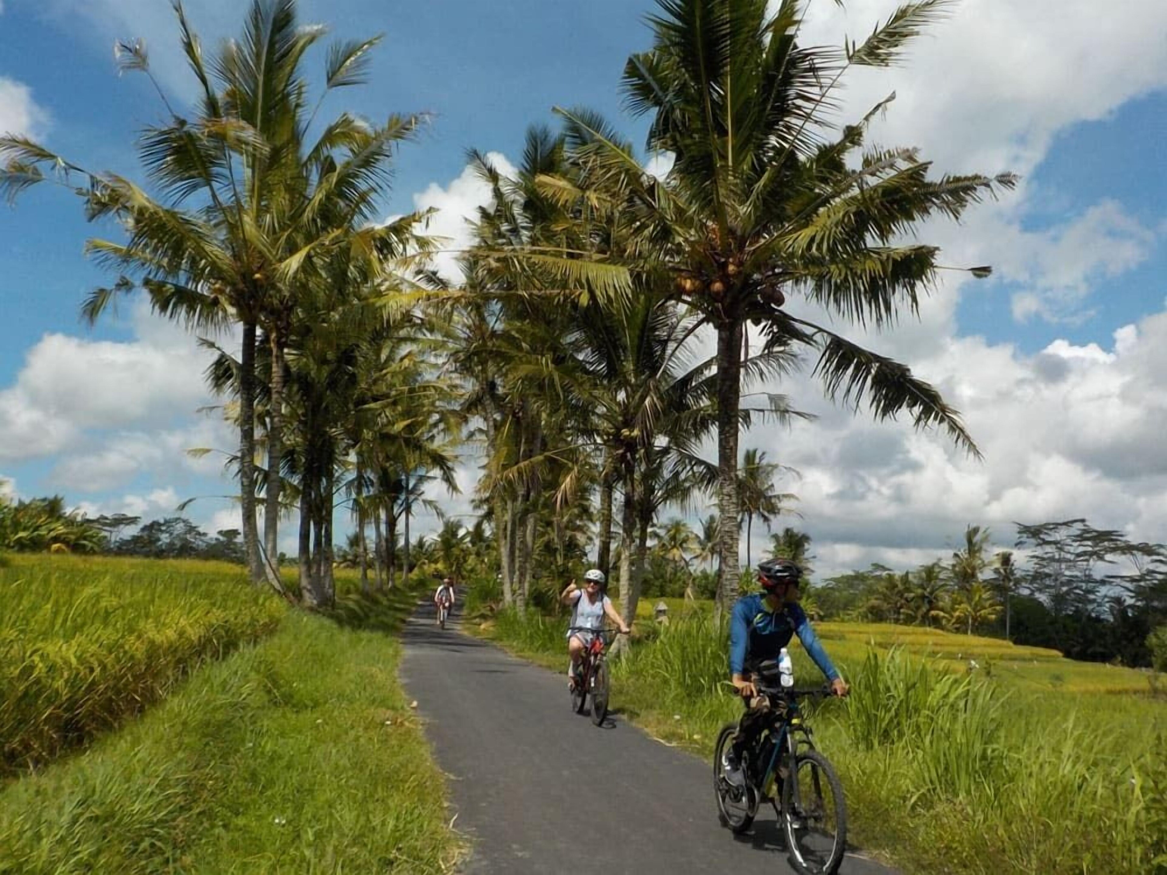 Green Sari Private Villa