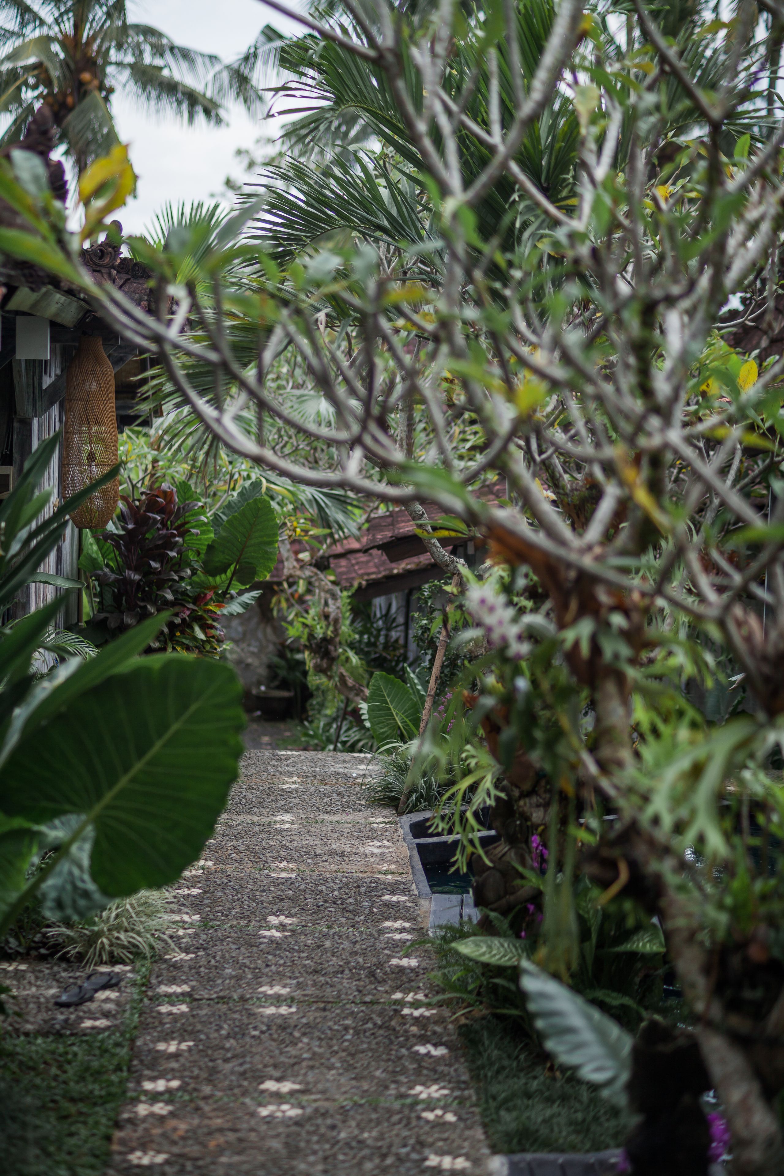 Green Taman Ubud