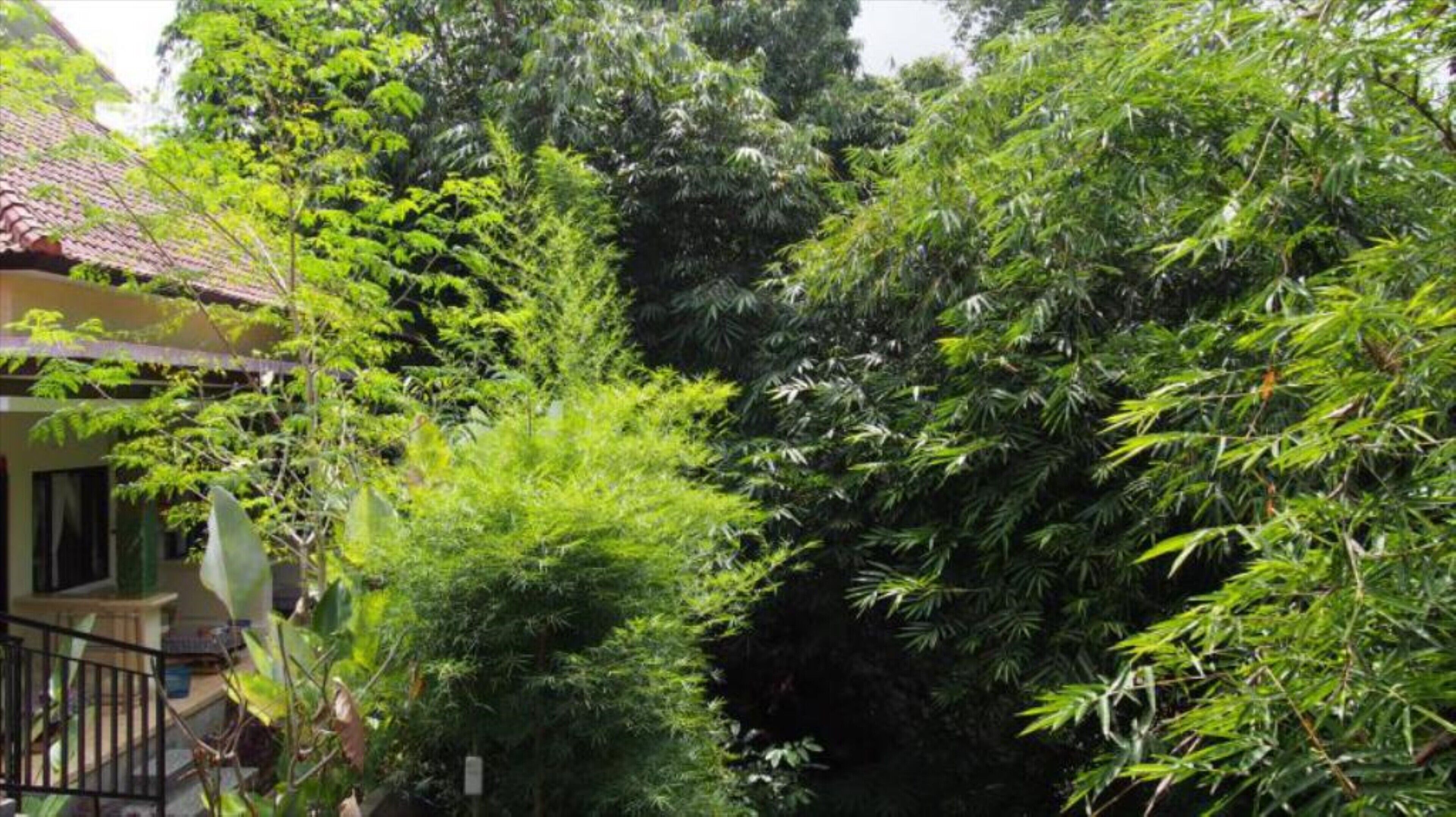 Bejraee Kumar Guest House Ubud