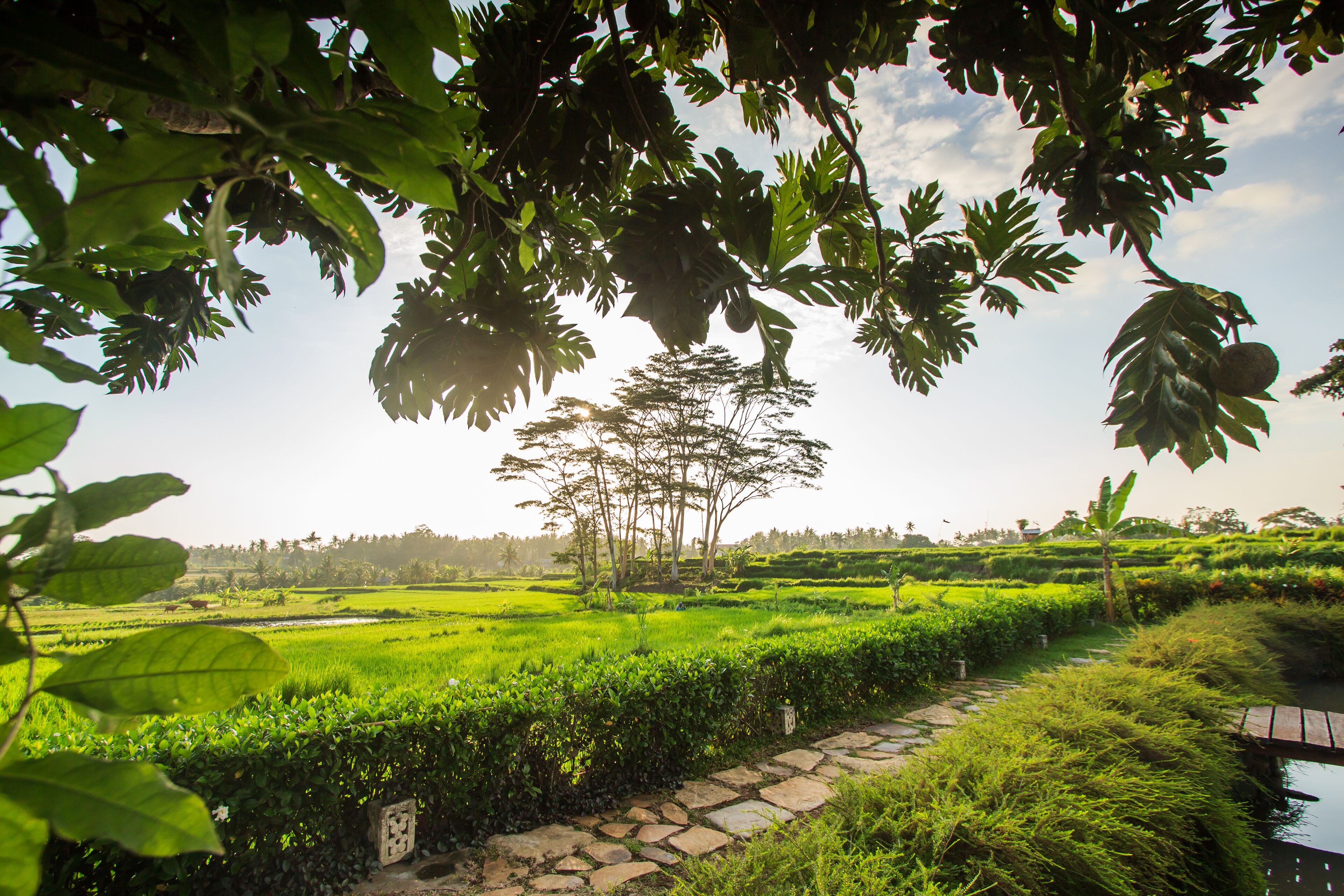 Griya KCB Villa Ubud