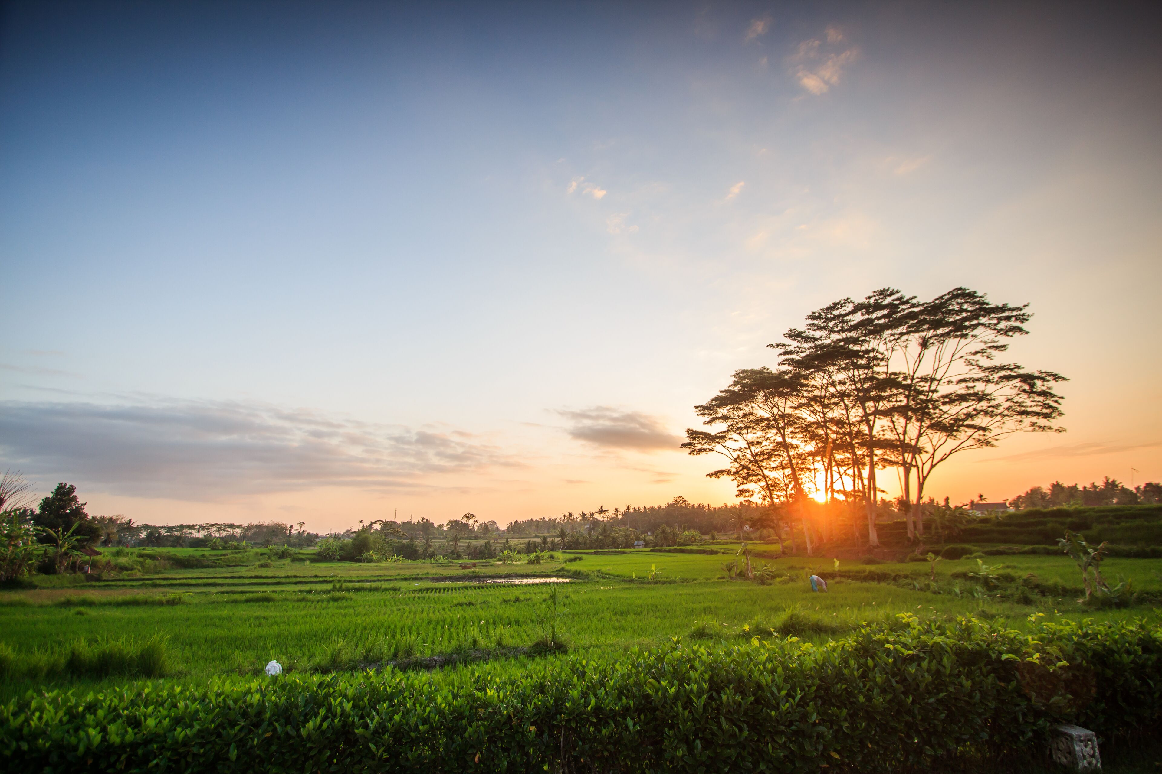 Griya KCB Villa Ubud