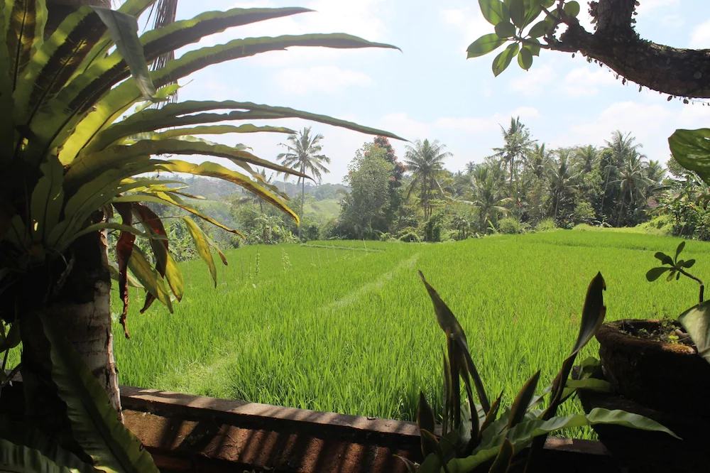 Gustis Garden 2 Guest House
