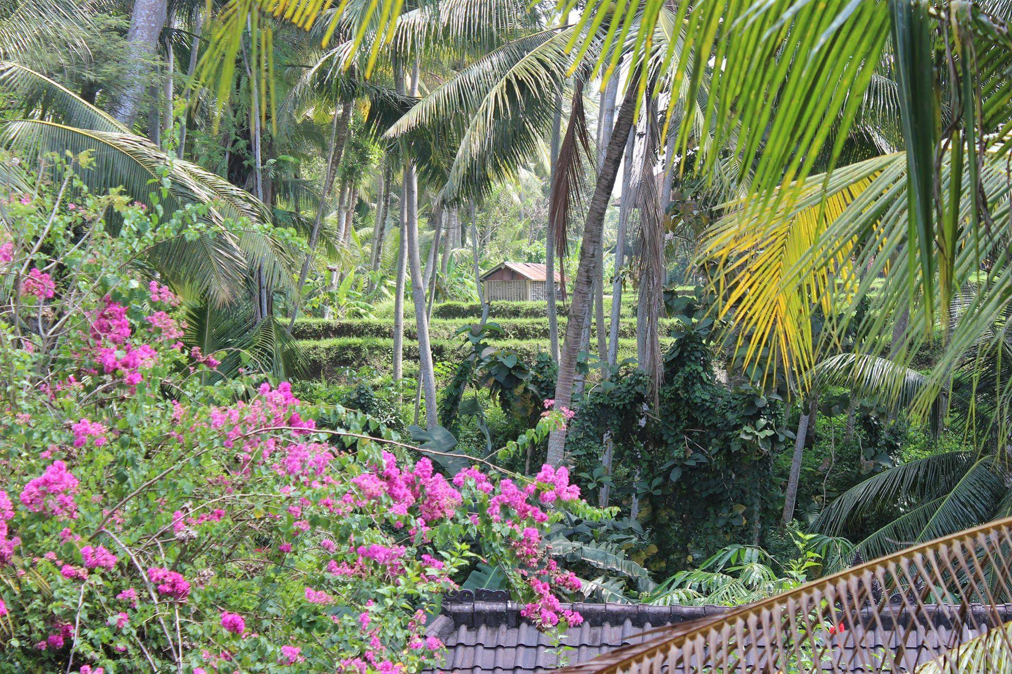 Gustis Garden Bungalows