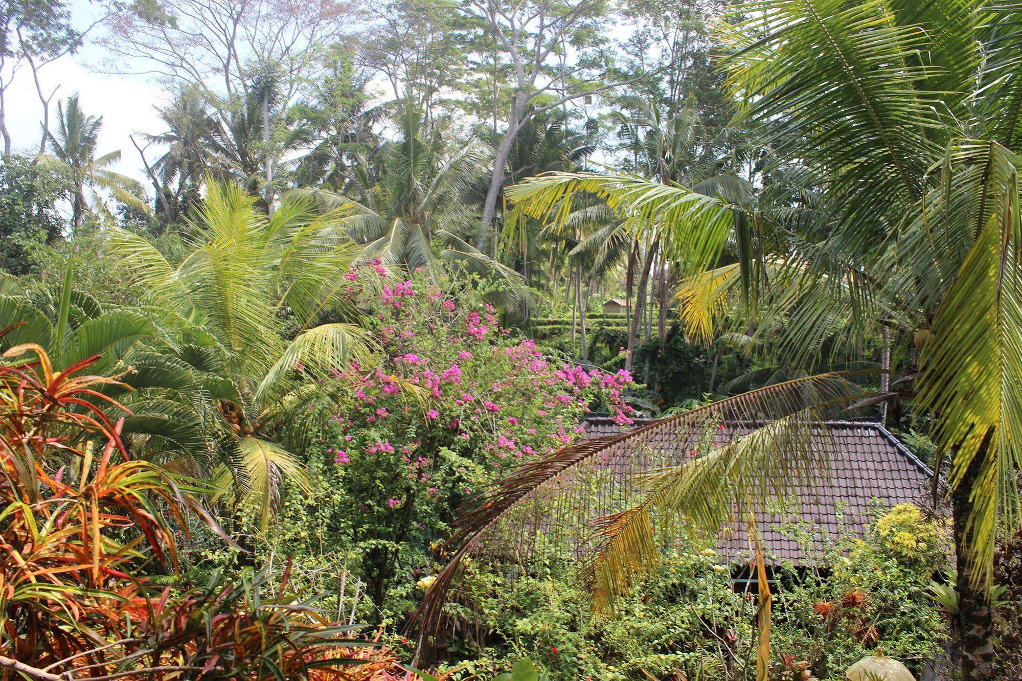 Gustis Garden Bungalows