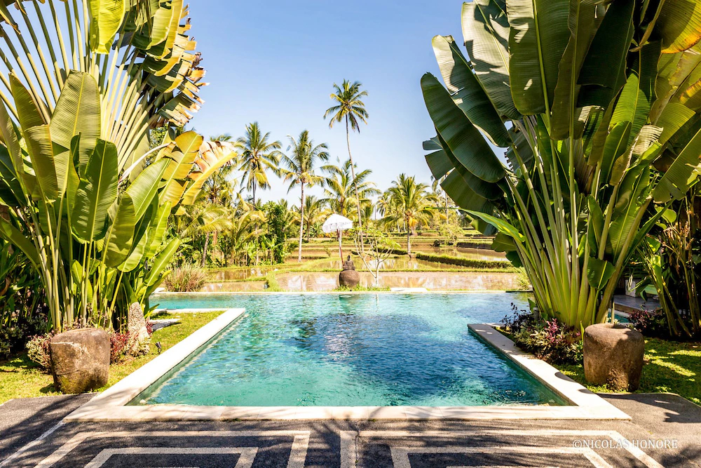 Hati Padi Cottages