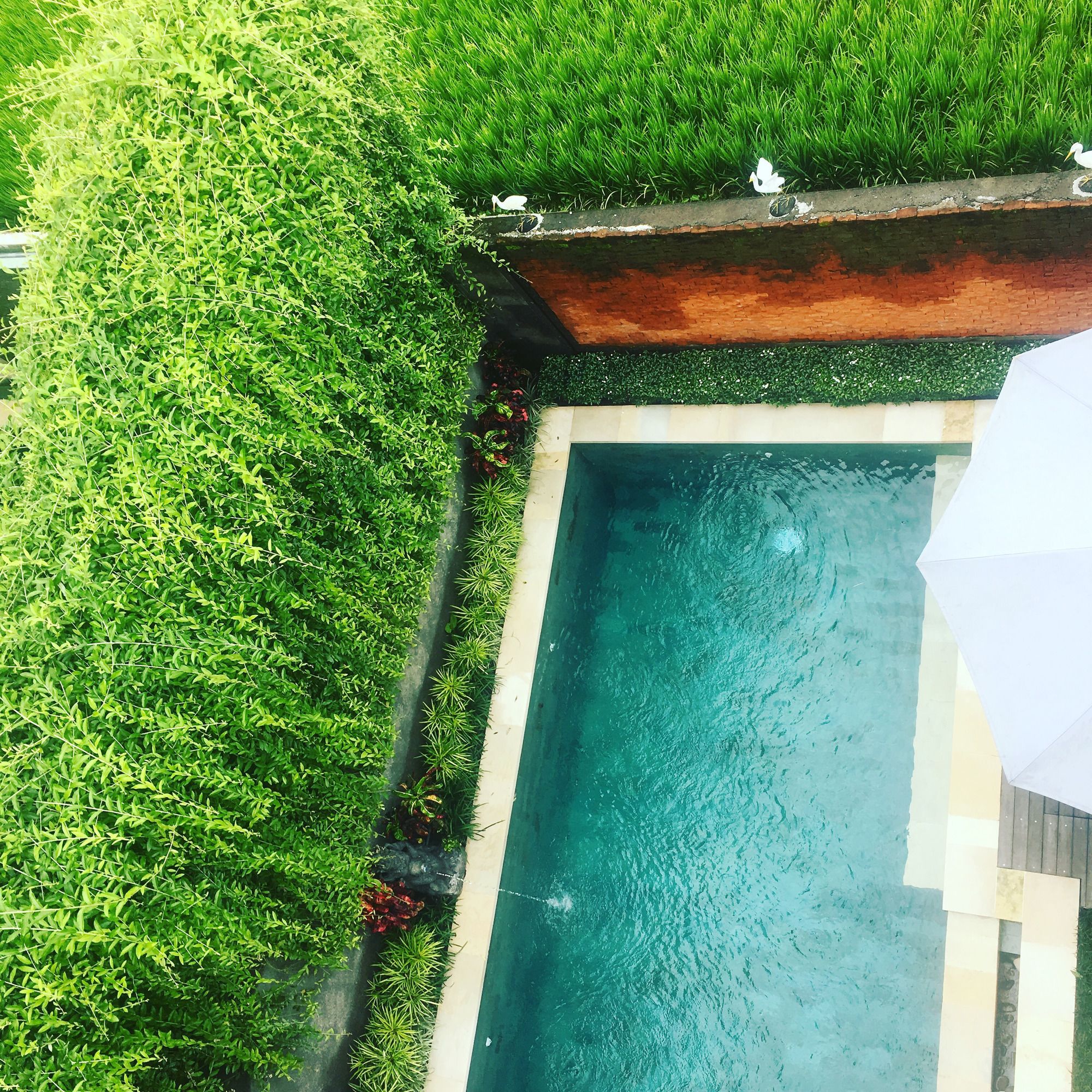 Heaven Villa Ubud