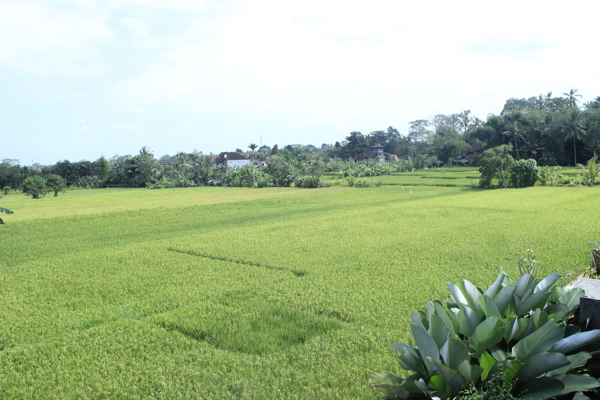 Heaven Villa Ubud