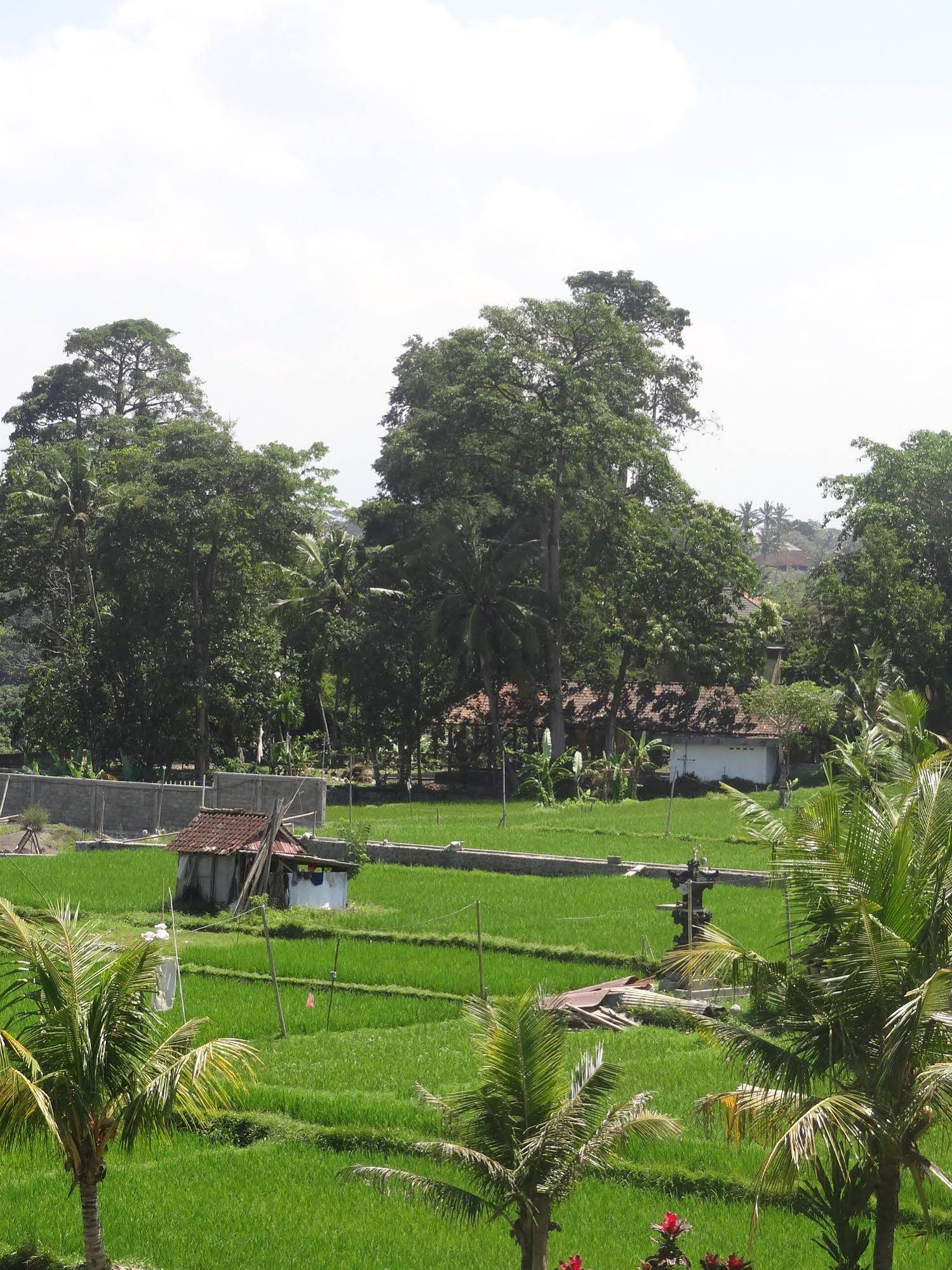 Hibiscus Cottages