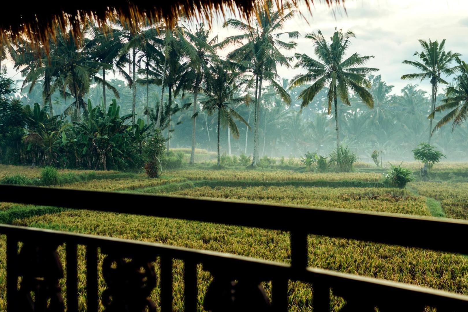 Honai Resort