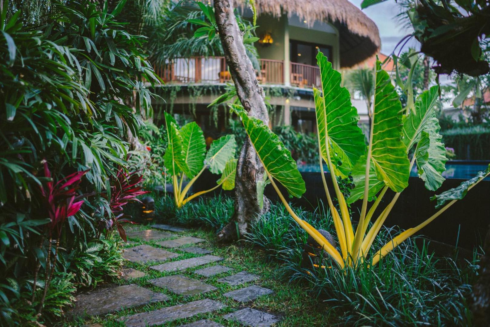 Honai Resort