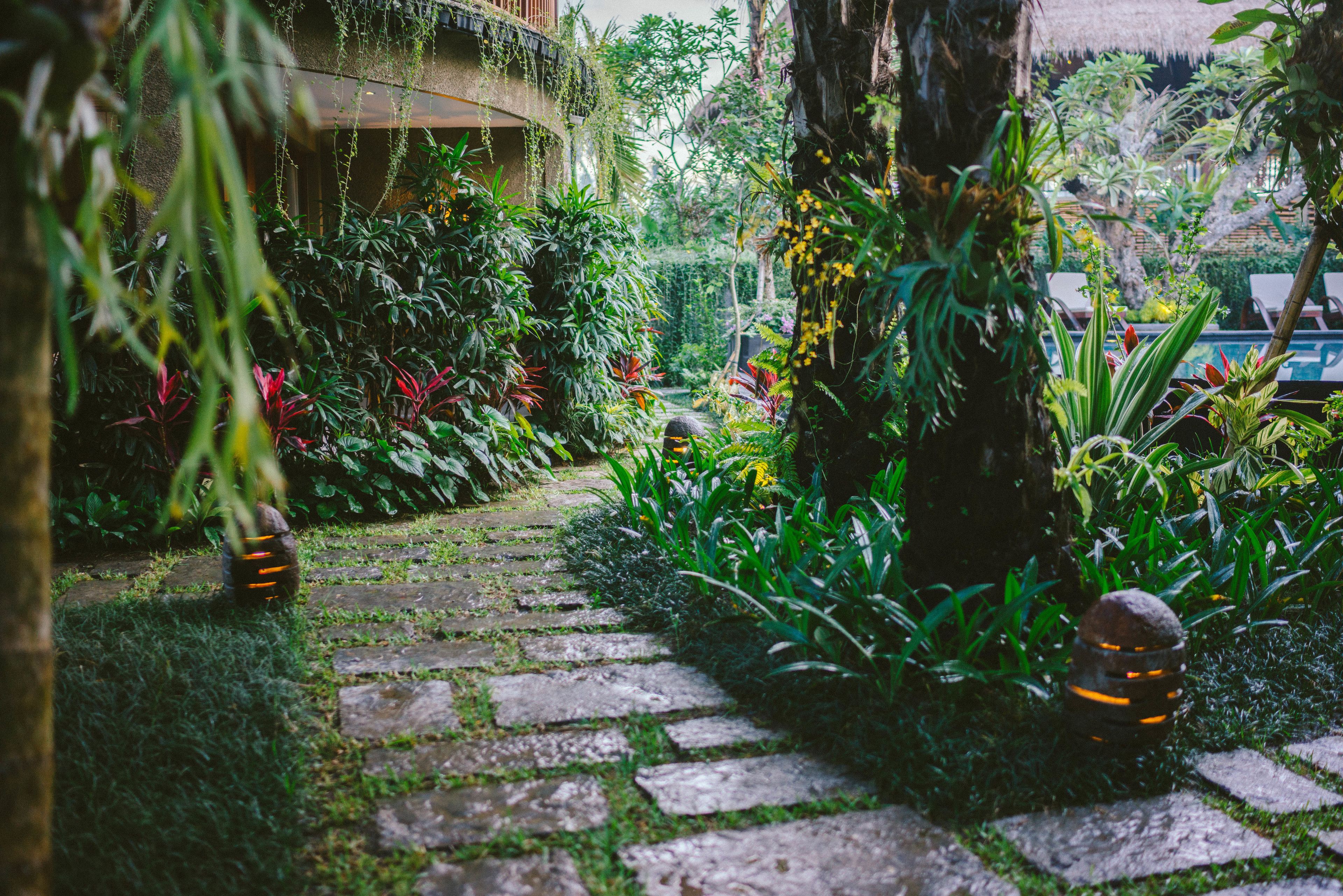 Honai Resort