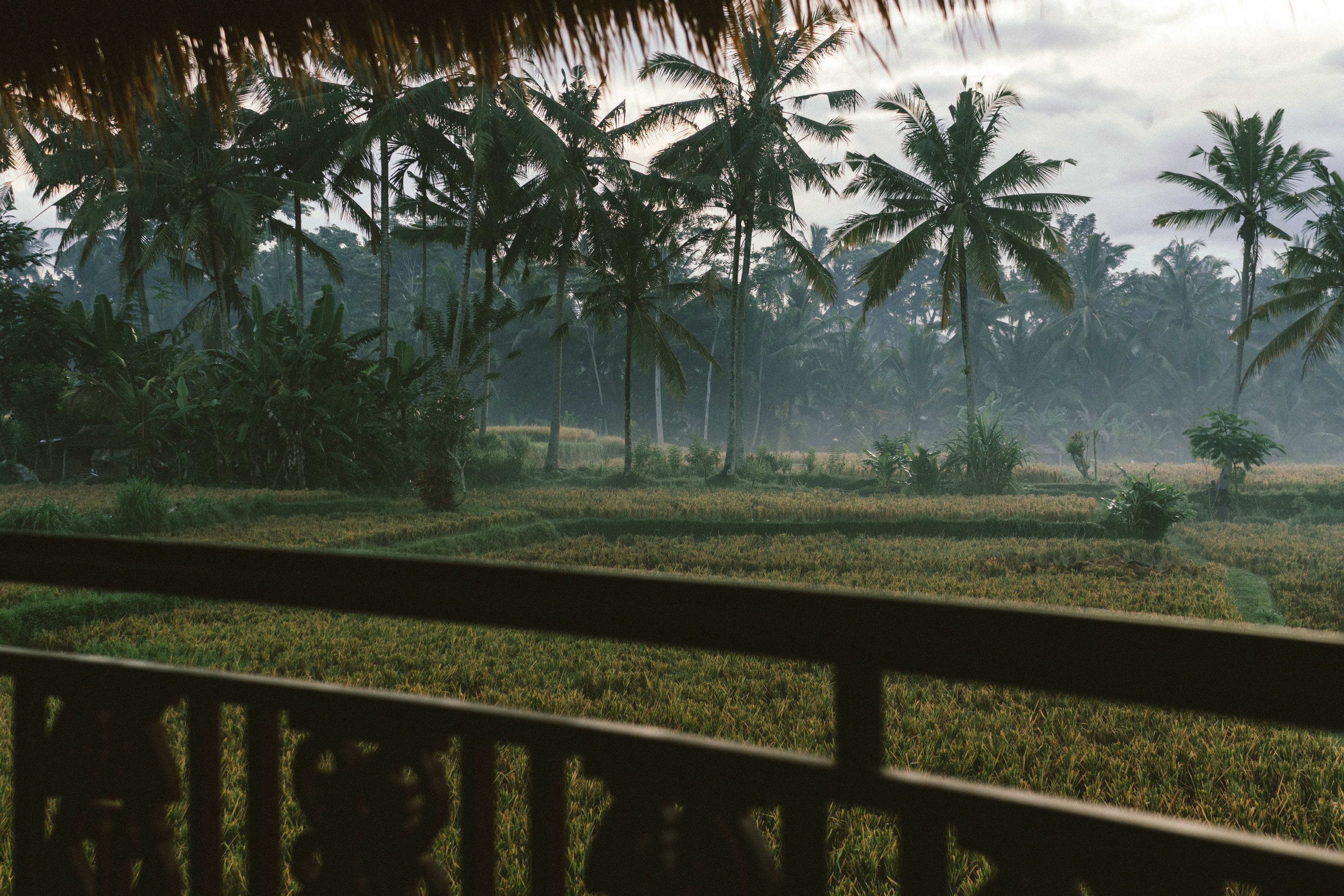 Honai Resort