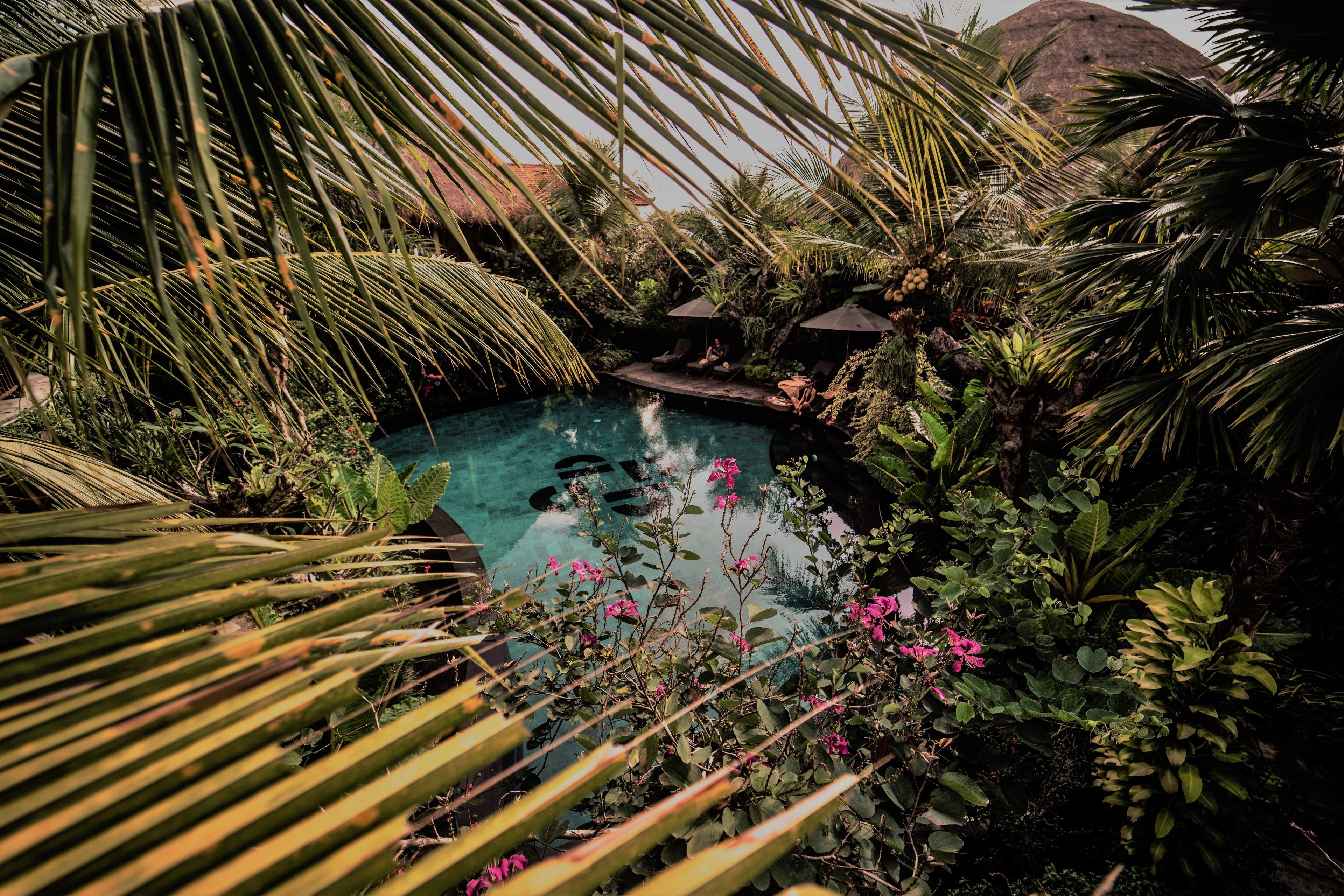 Honai Resort