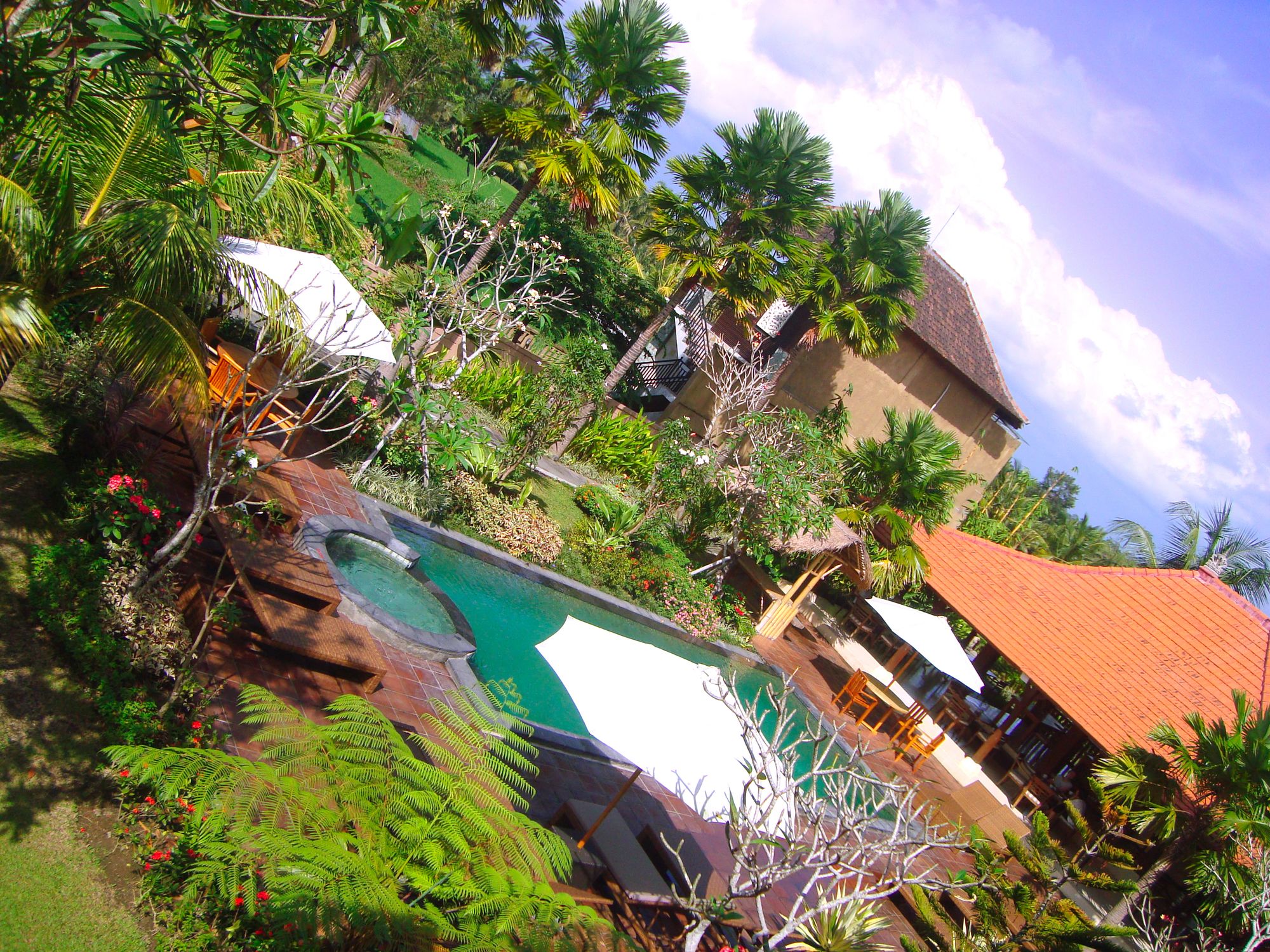 Artini Bisma Ubud Hotel