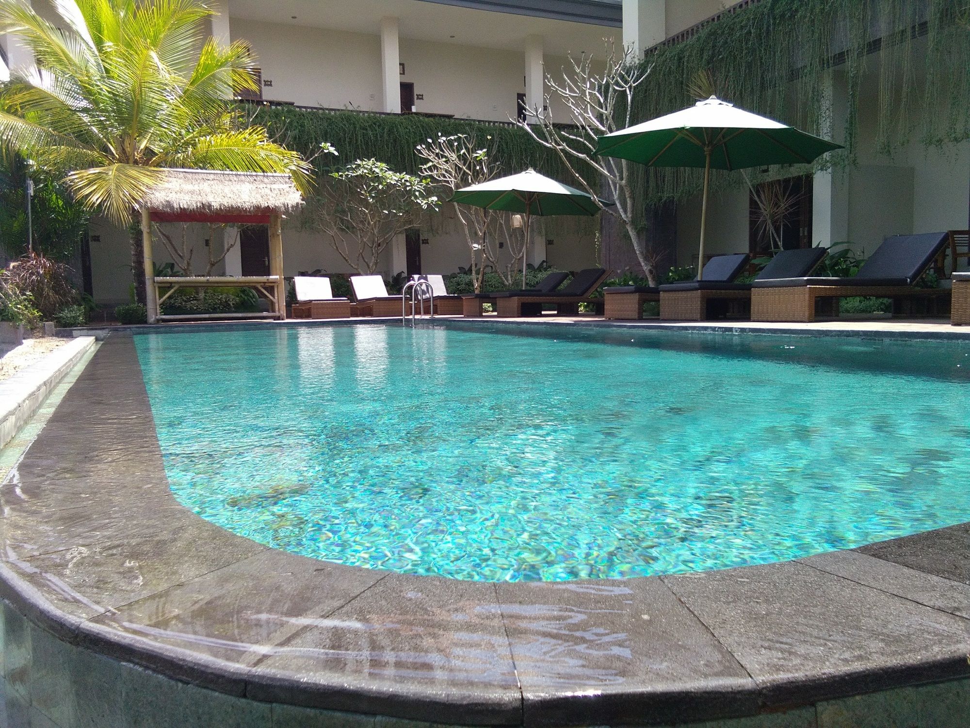 Artini Bisma Ubud Hotel