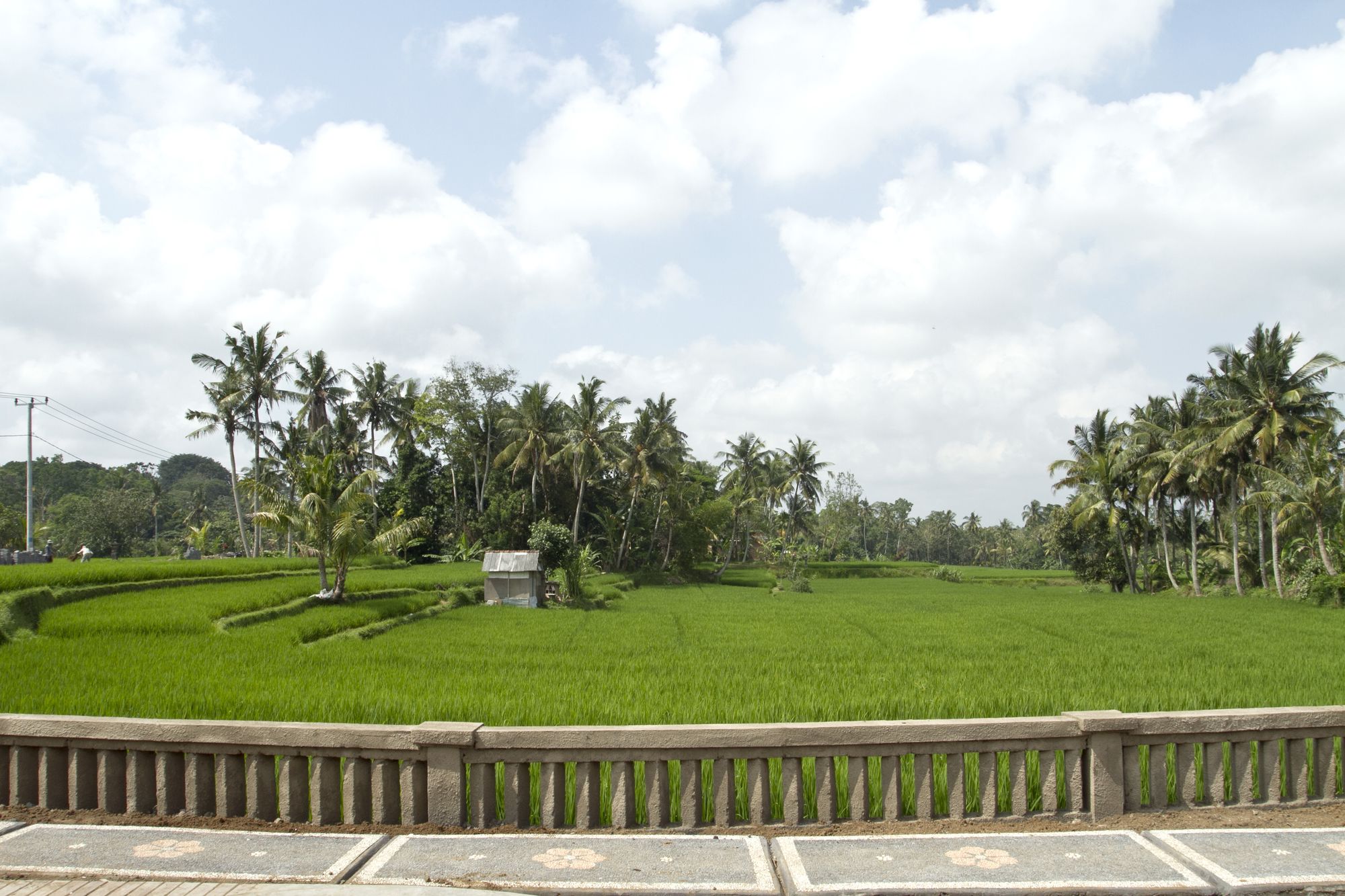 Artini Bisma Ubud Hotel