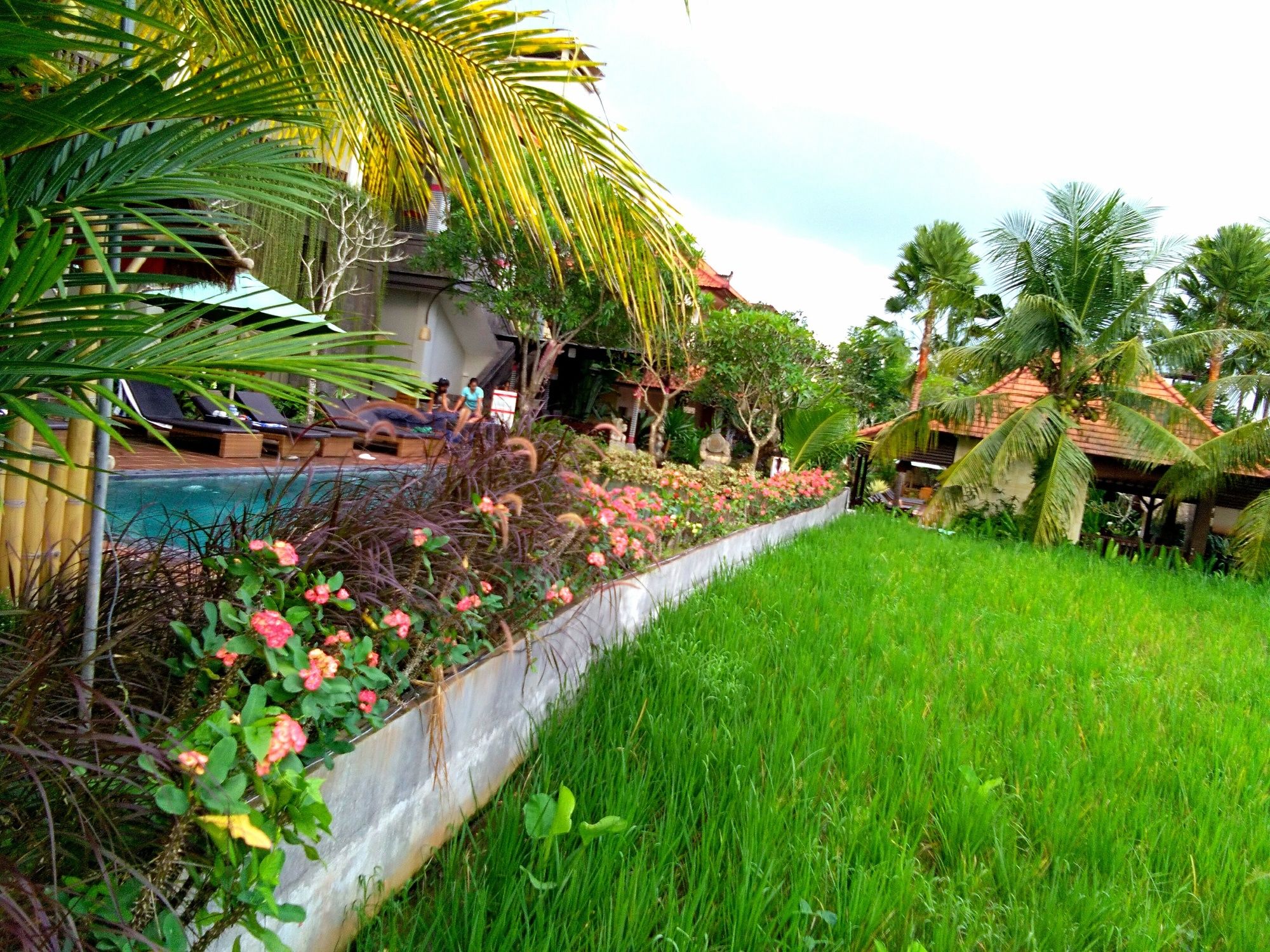 Artini Bisma Ubud Hotel