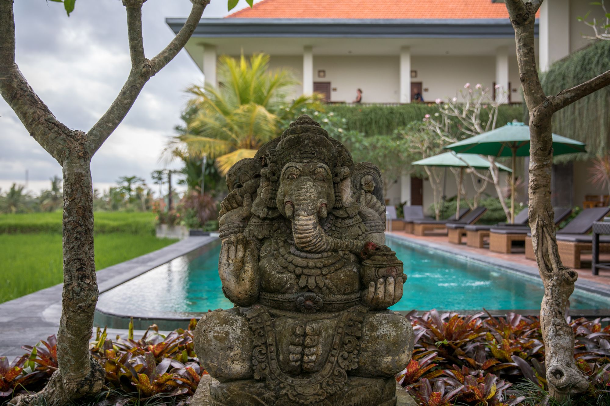 Artini Bisma Ubud Hotel