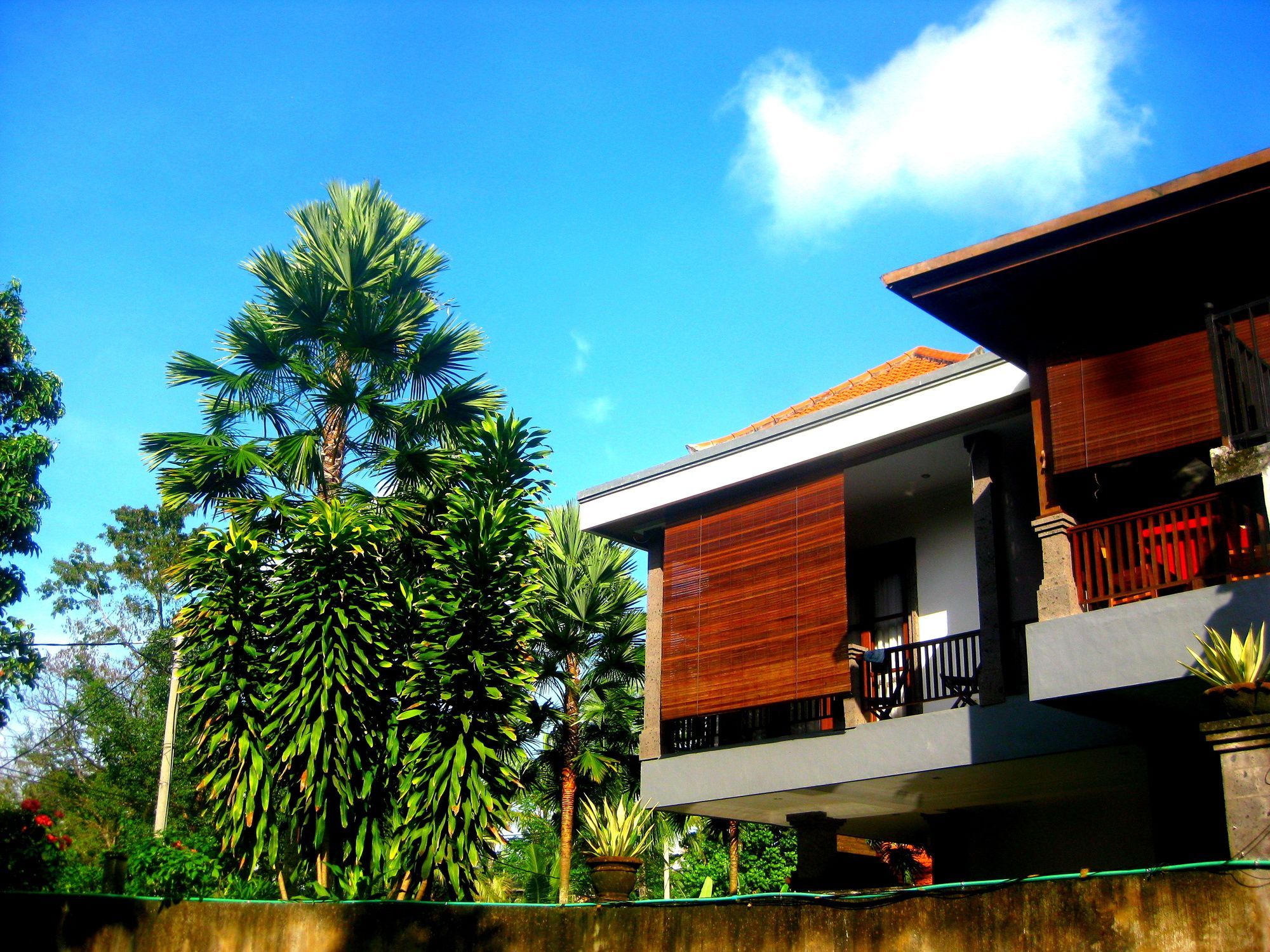 Villa Sonia Bisma