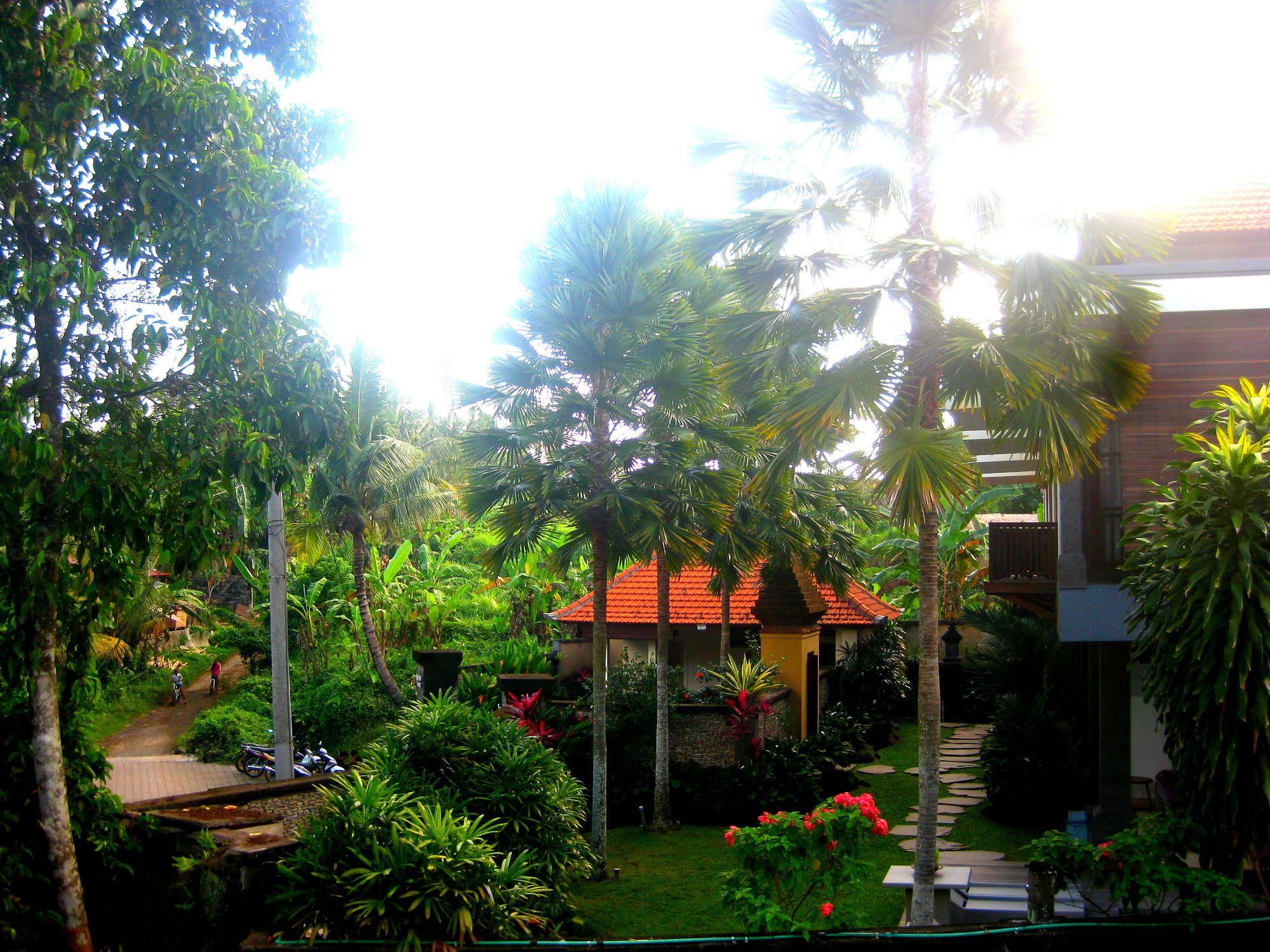 Villa Sonia Bisma
