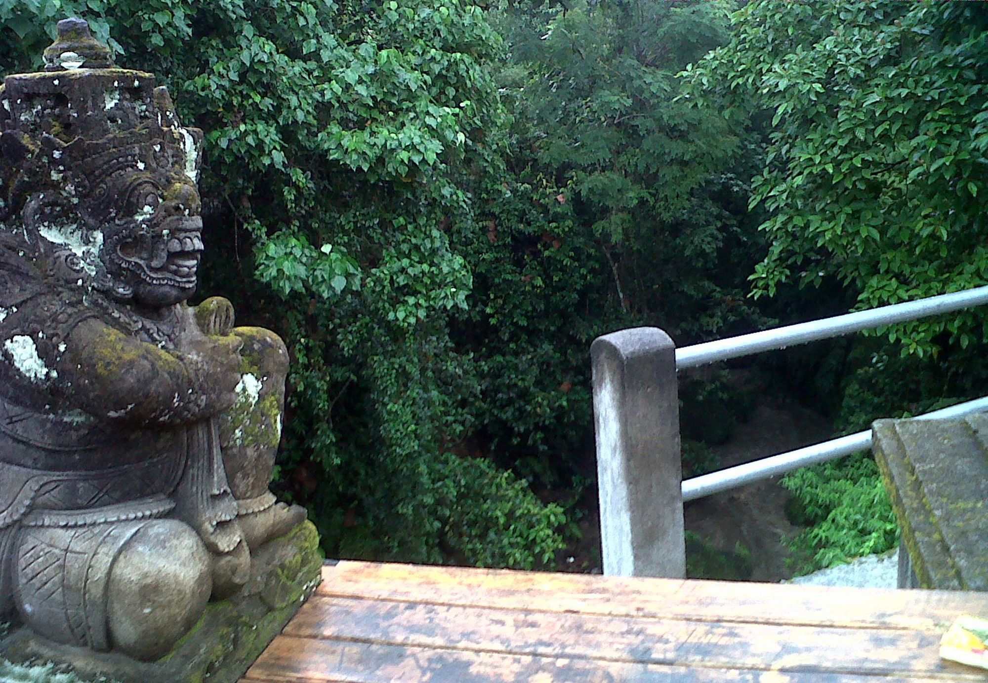 Villa Sonia Bisma