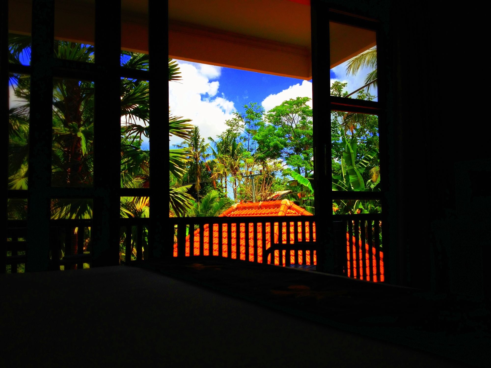 Villa Sonia Bisma