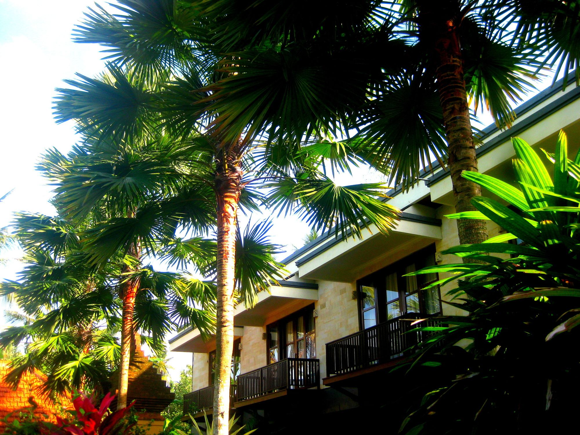 Villa Sonia Bisma