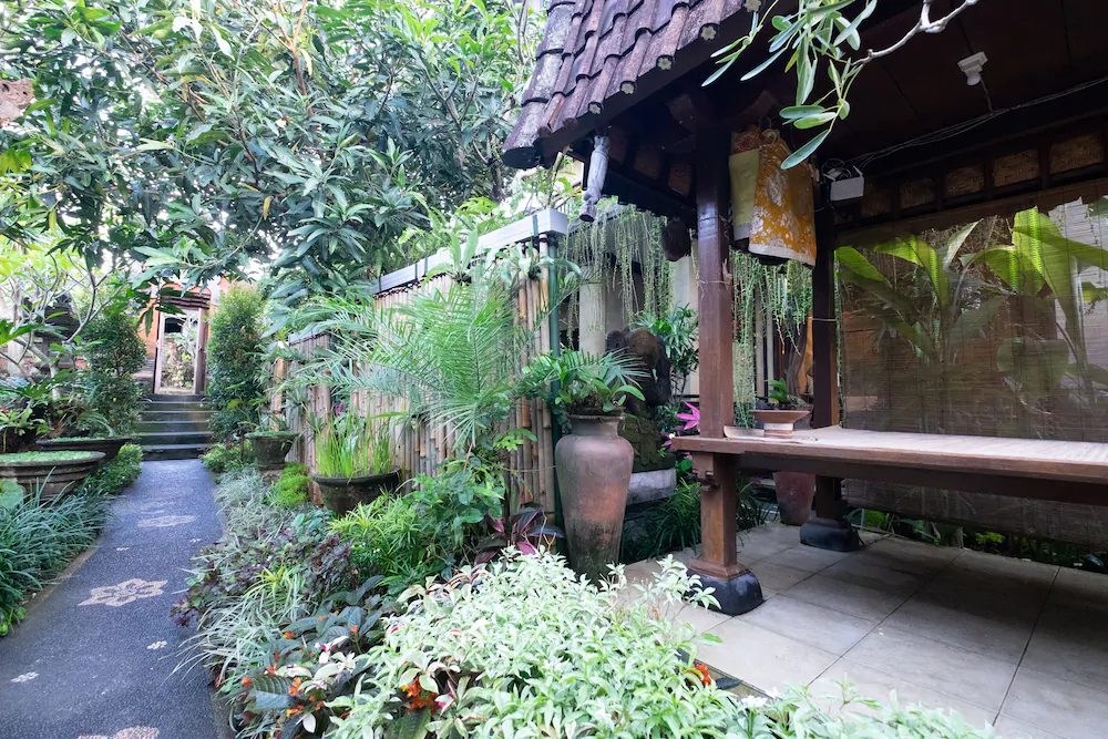 Jiwa's House