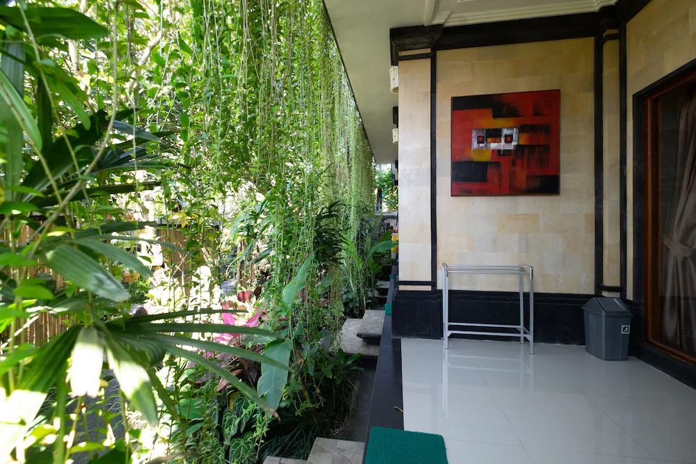 Jiwa's House