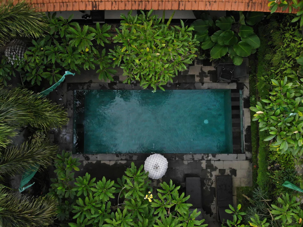 Jiwa's House