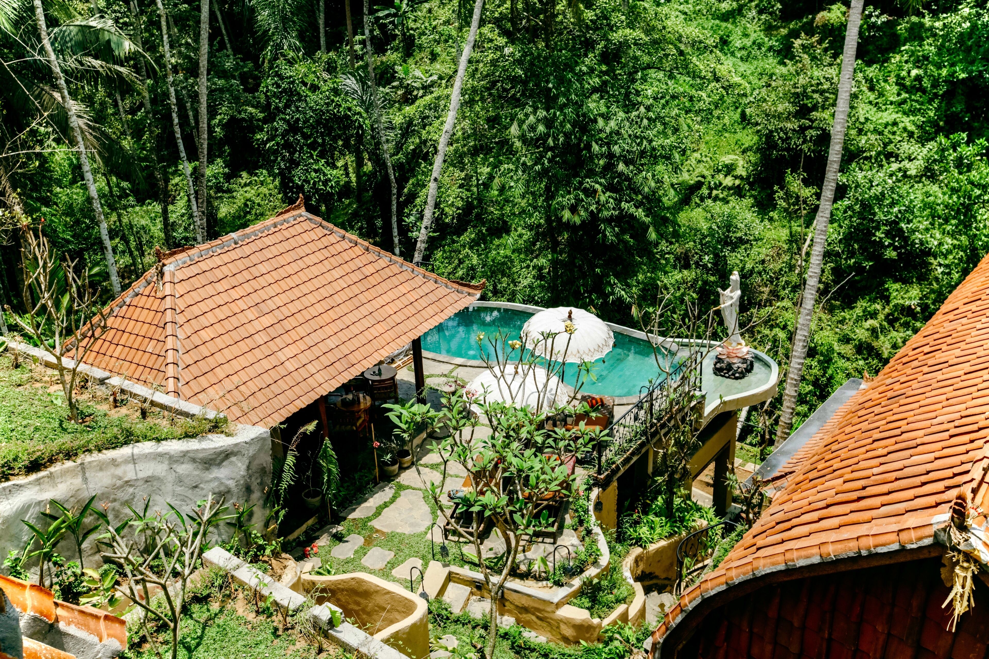Jungle Lotus Villas