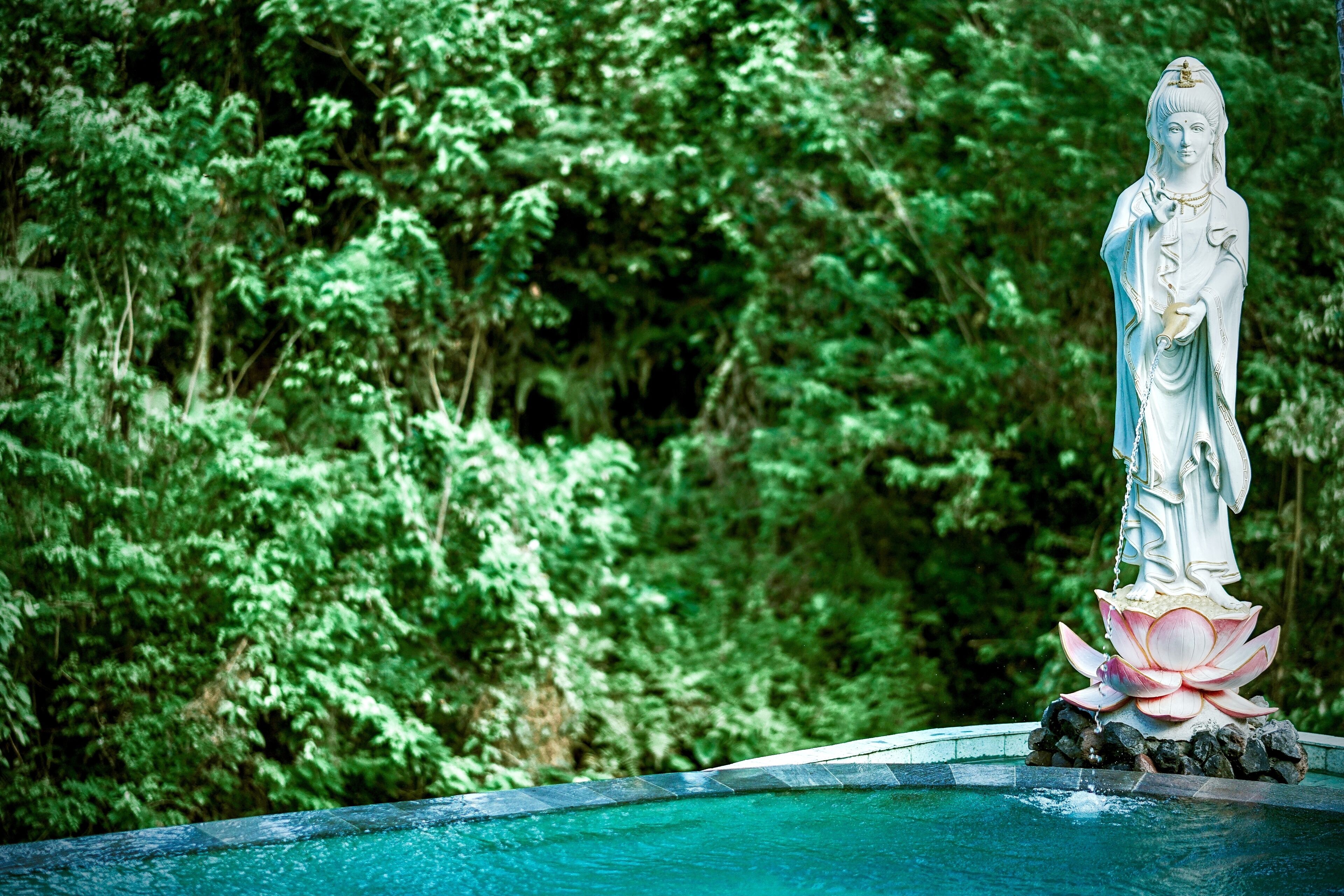 Jungle Lotus Villas