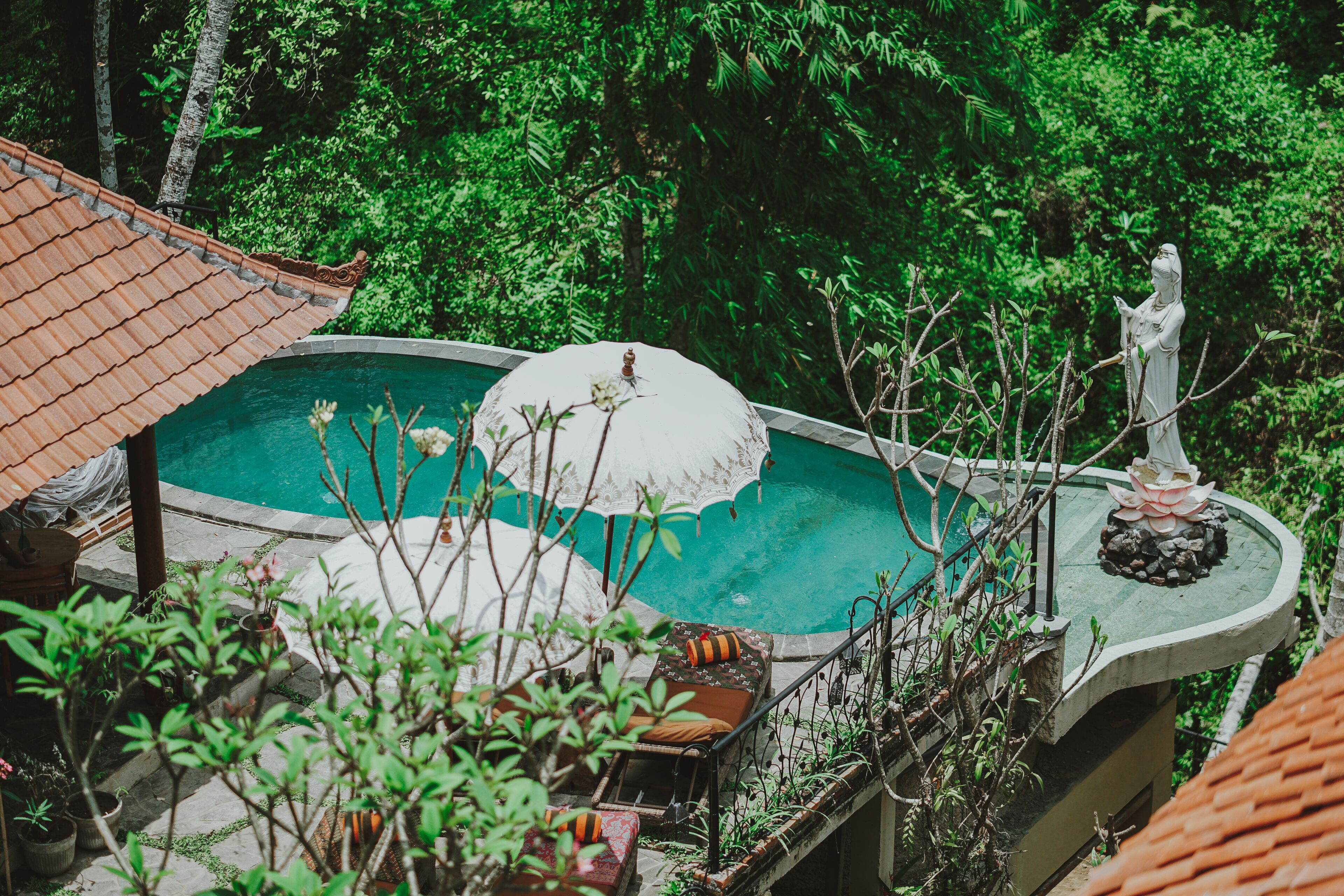 Jungle Lotus Villas